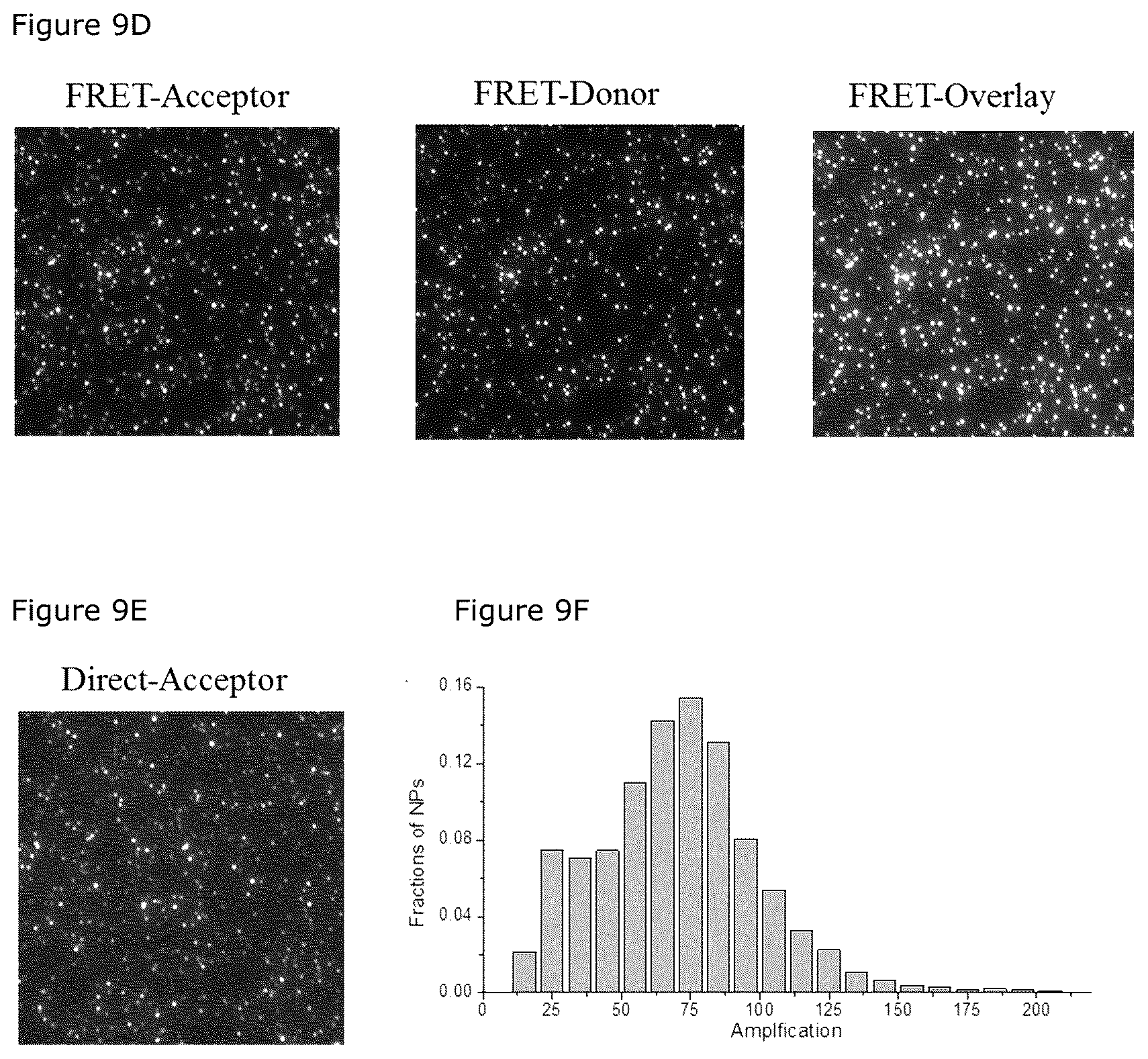 Patent US12492426 Figure 10 – Oligonucleotide-functionalized hydrophobic polymer nanoparticles