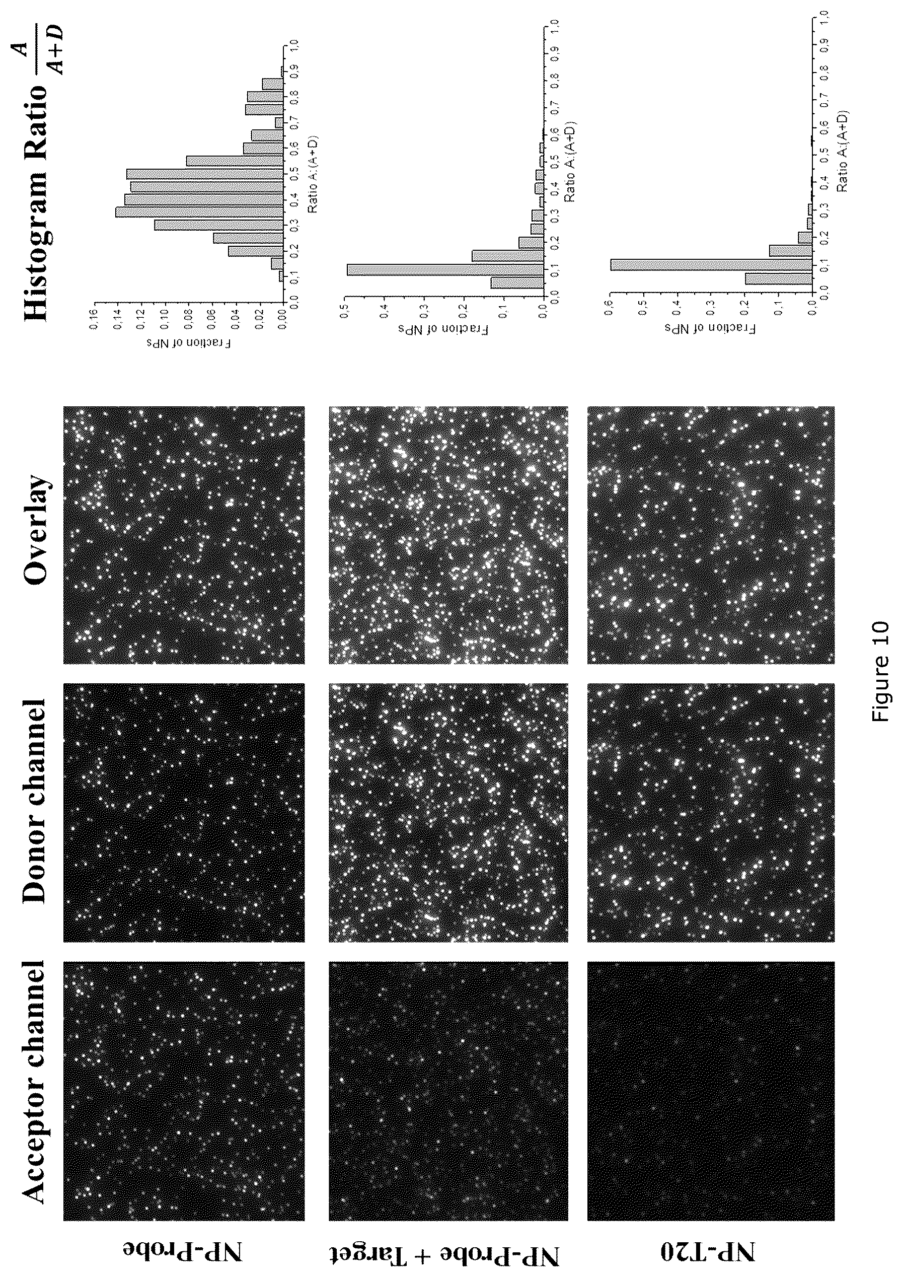 Patent US12492426 Figure 11 – Oligonucleotide-functionalized hydrophobic polymer nanoparticles