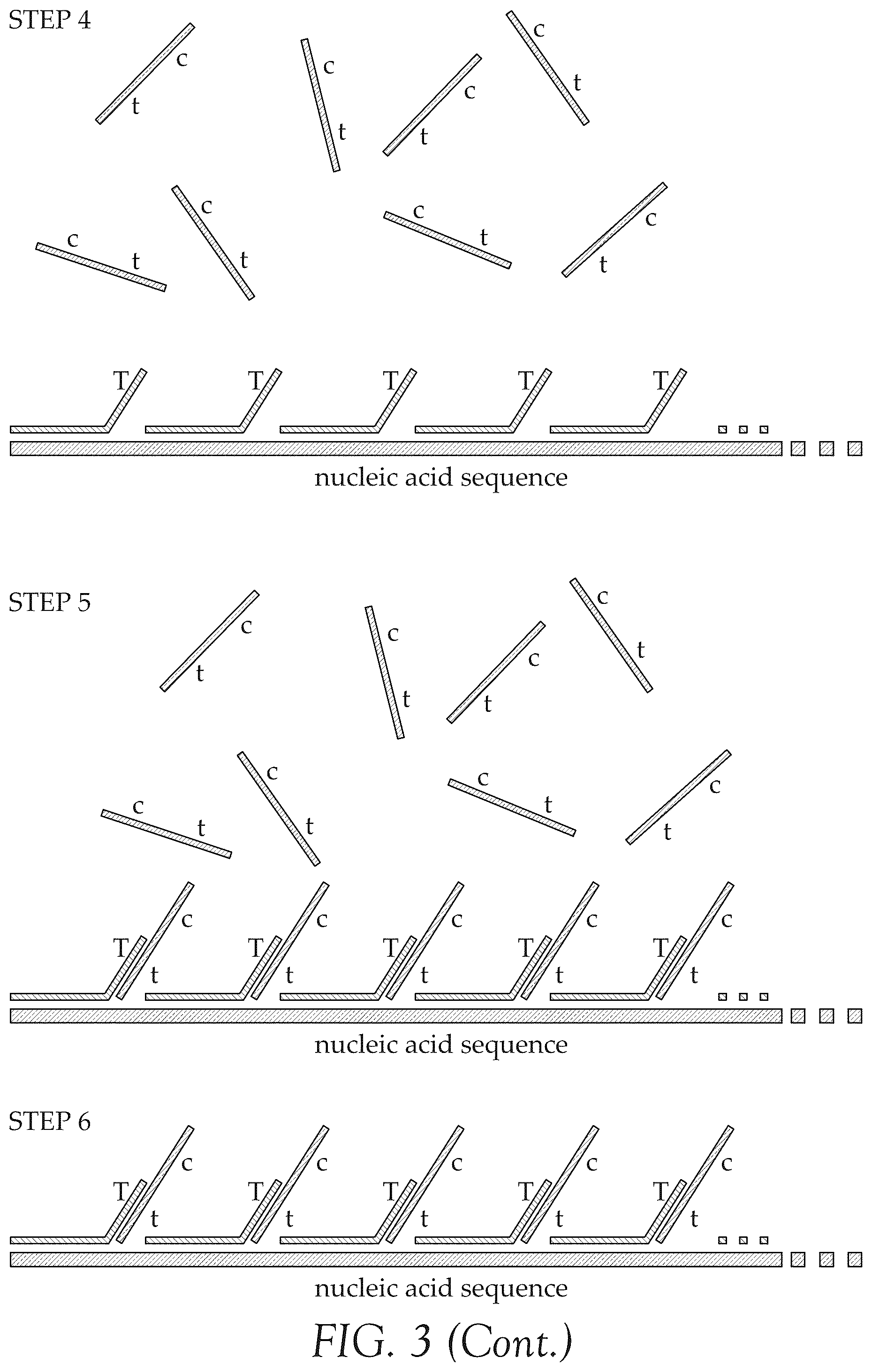 Patent US12492427 Figure 3 – Multiplex method for detecting different analytes in a sample