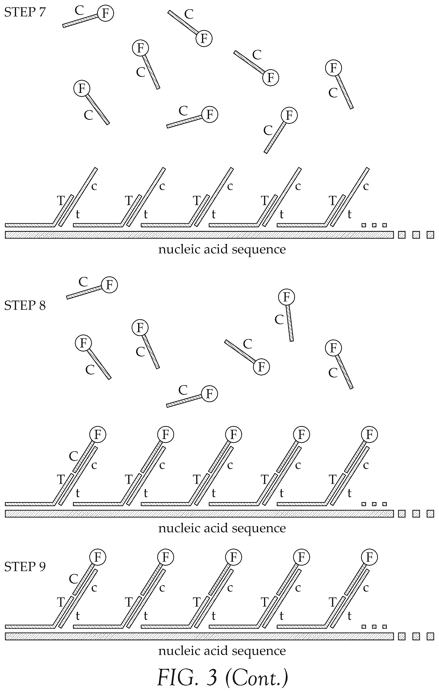 Patent US12492427 Figure 4 – Multiplex method for detecting different analytes in a sample