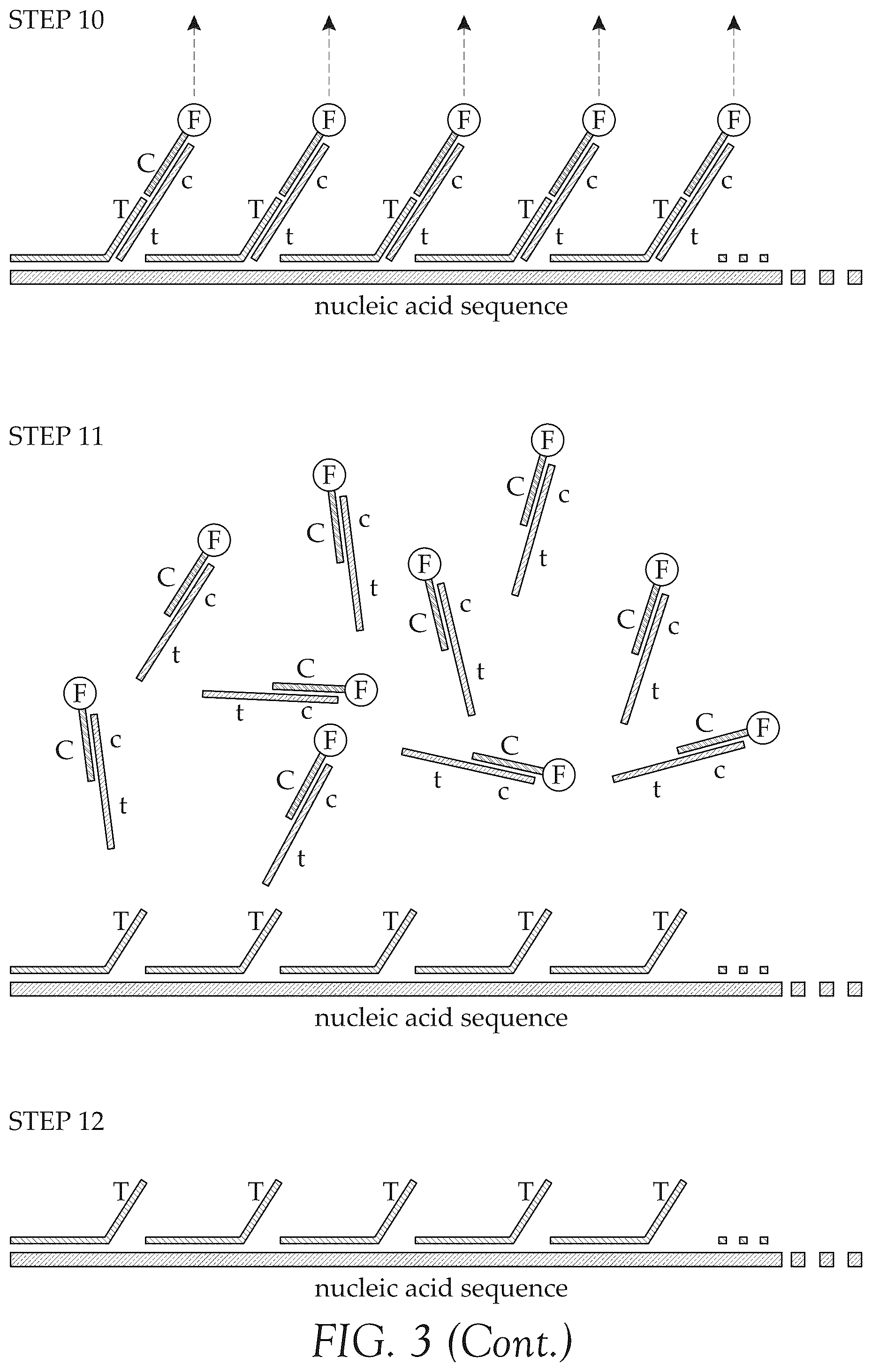 Patent US12492427 Figure 5 – Multiplex method for detecting different analytes in a sample