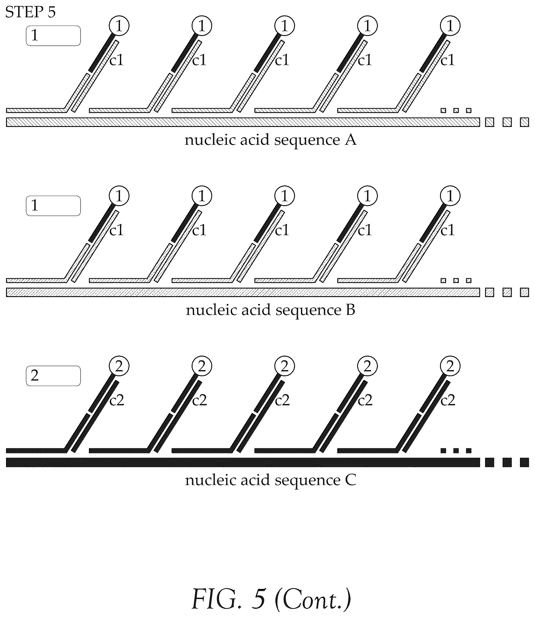 Patent US12492427 Figure 10 – Multiplex method for detecting different analytes in a sample