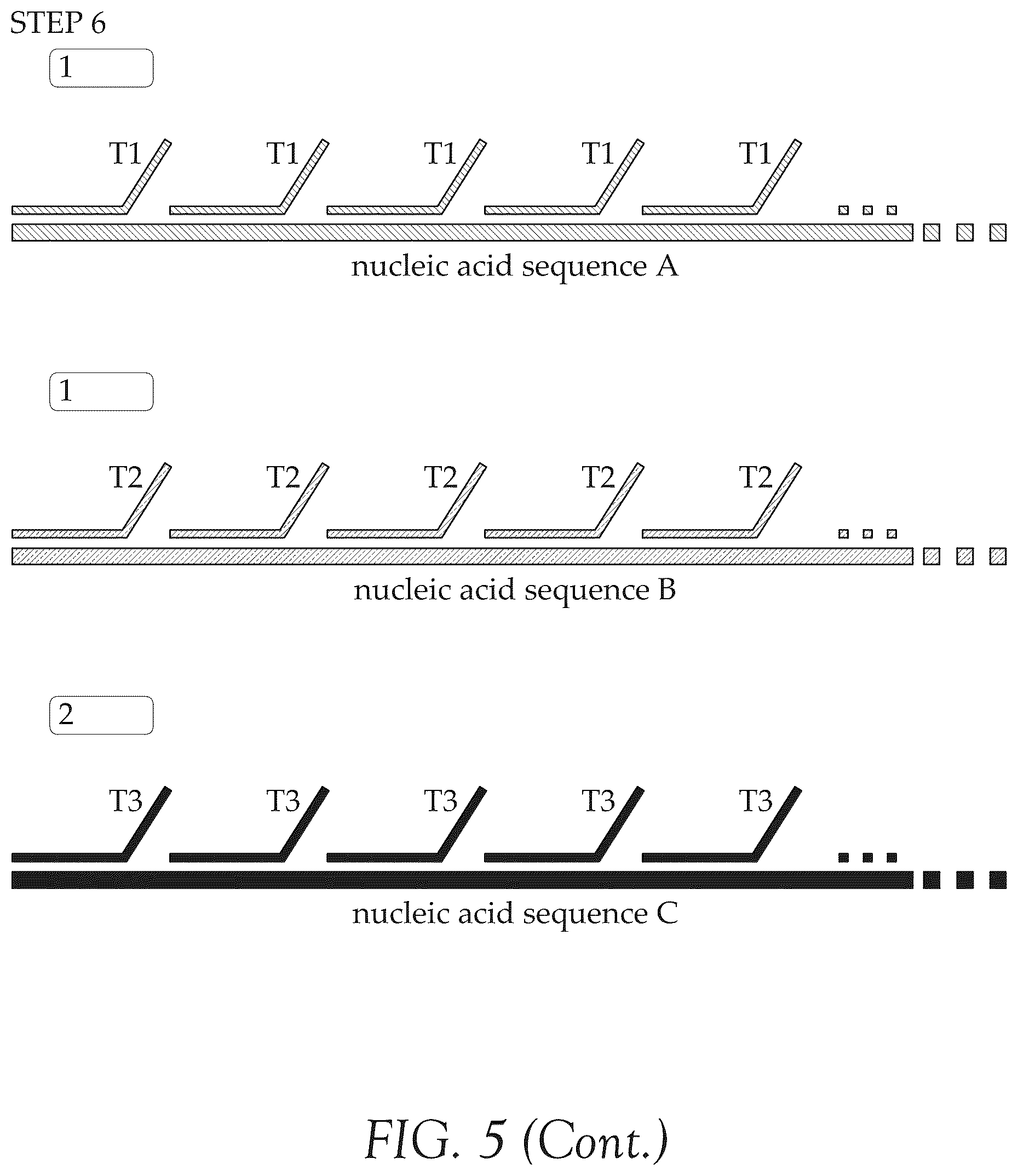 Patent US12492427 Figure 11 – Multiplex method for detecting different analytes in a sample