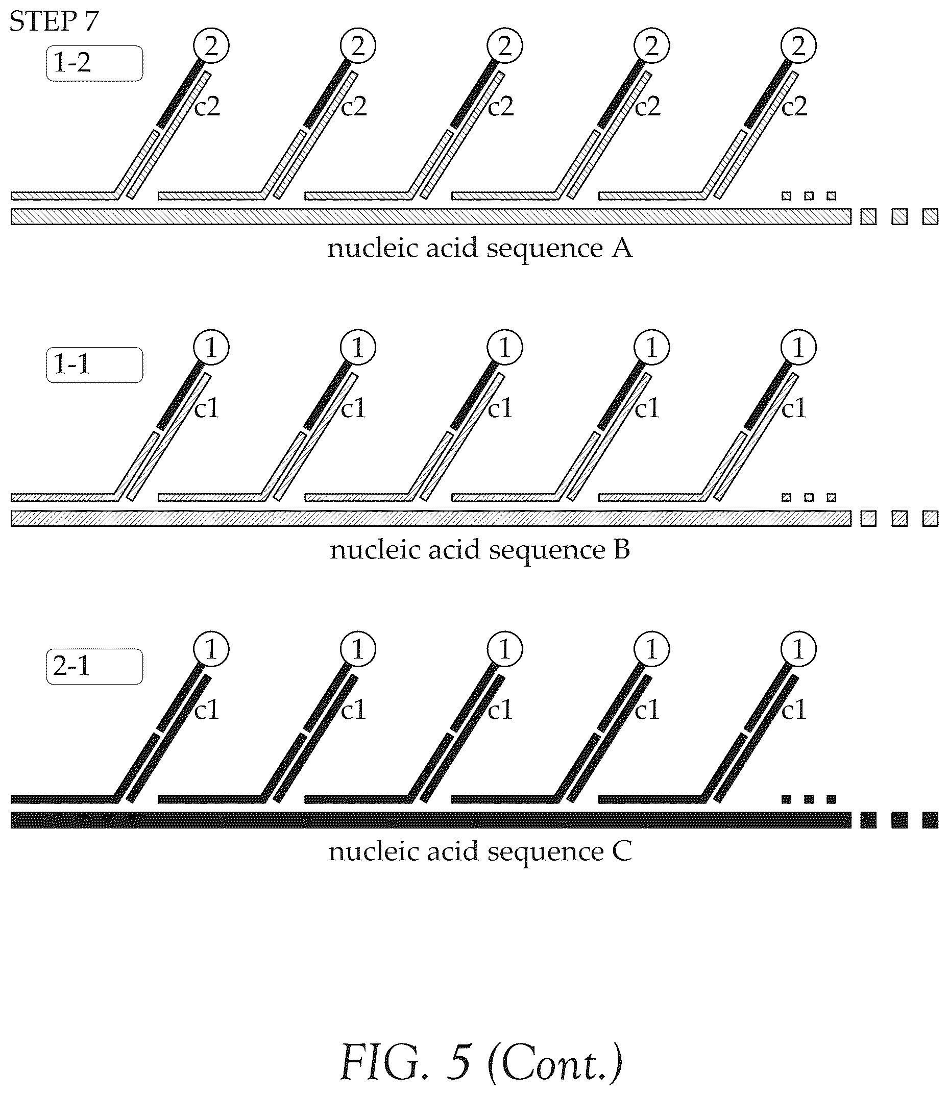 Patent US12492427 Figure 12 – Multiplex method for detecting different analytes in a sample