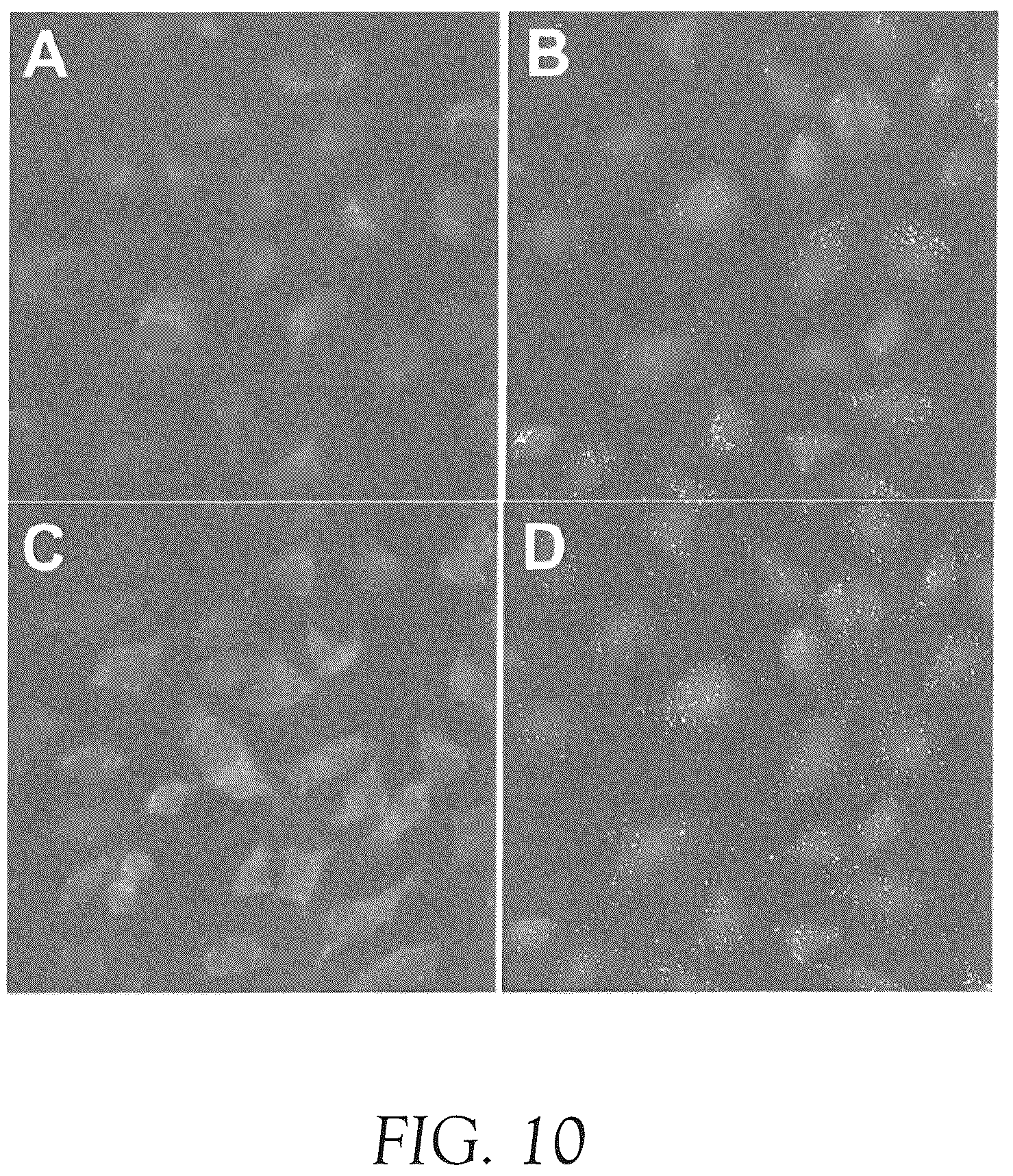 Patent US12492427 Figure 19 – Multiplex method for detecting different analytes in a sample
