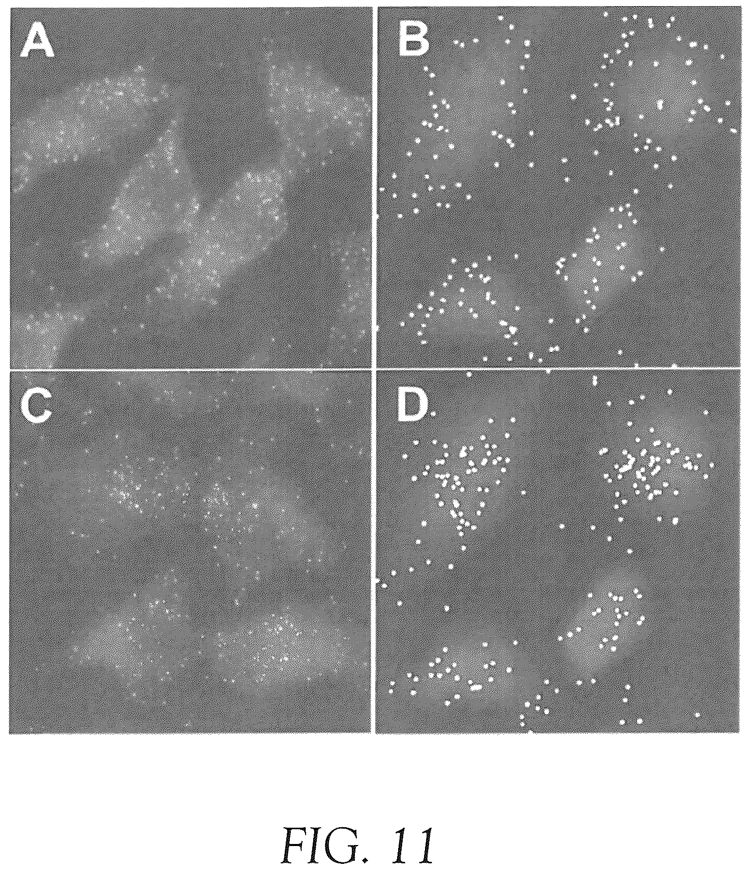 Patent US12492427 Figure 20 – Multiplex method for detecting different analytes in a sample