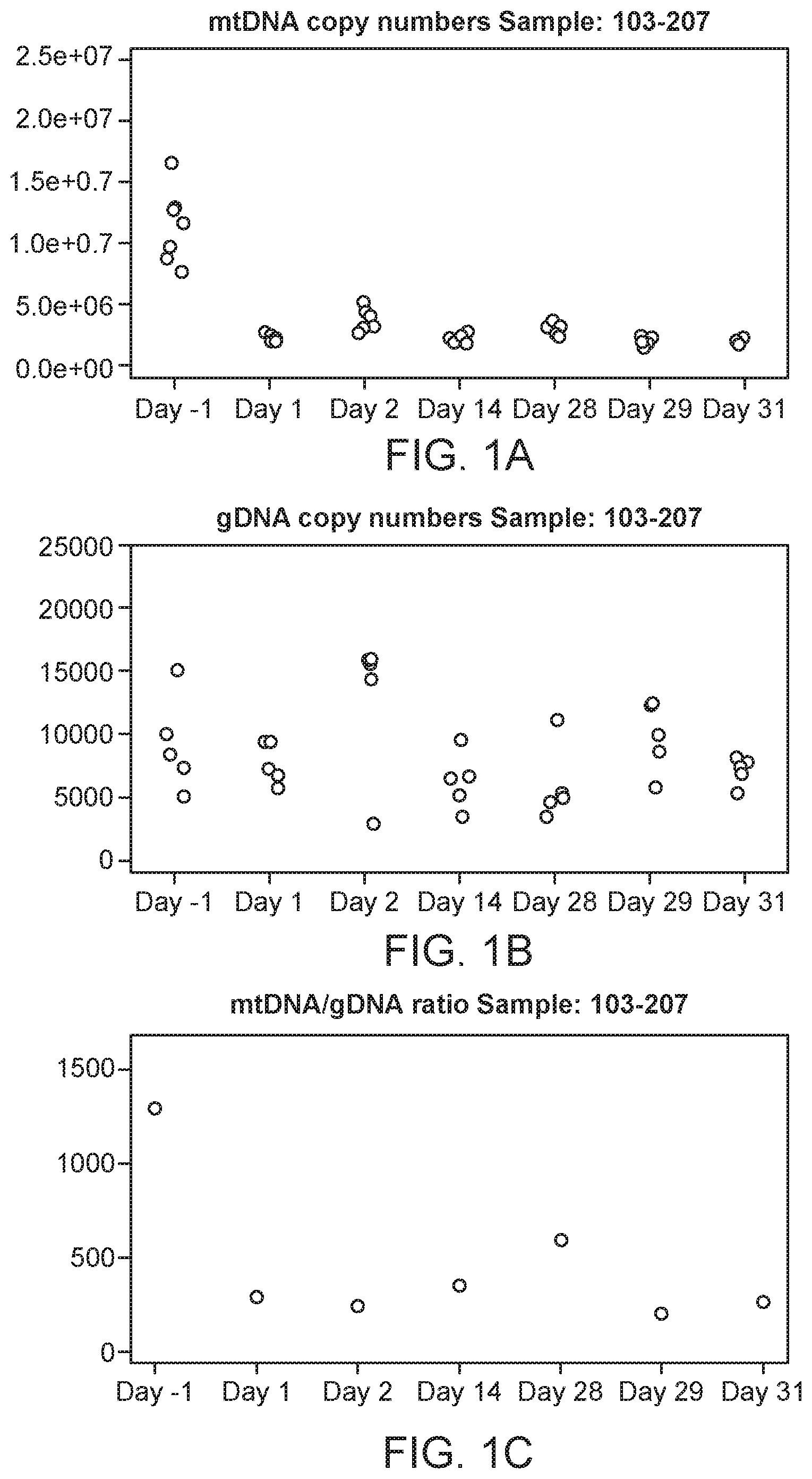 Patent US12492428 — Methods and compositions for the quantitation of mitochondrial nucleic acid — Figure 1