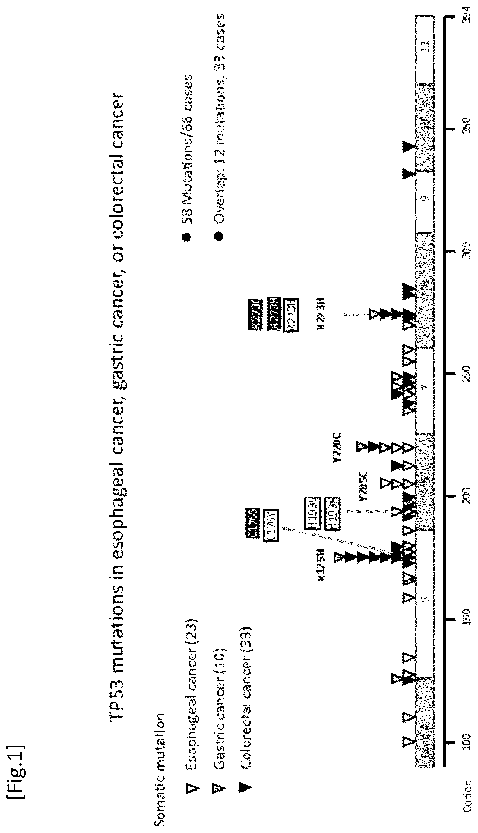 Patent US12492433 Figure 1 – Probe/primer library for diagnosis of cancer