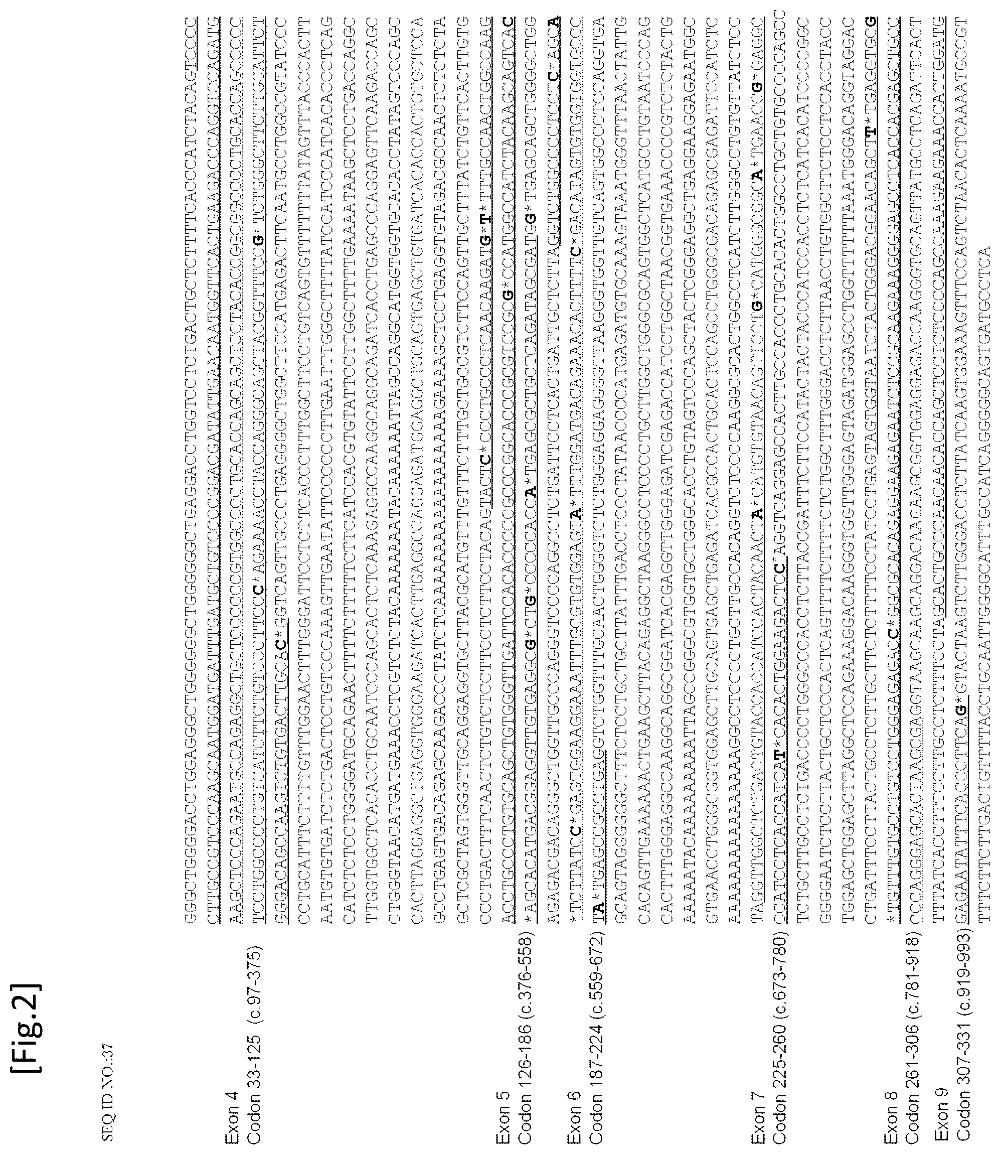 Patent US12492433 Figure 2 – Probe/primer library for diagnosis of cancer