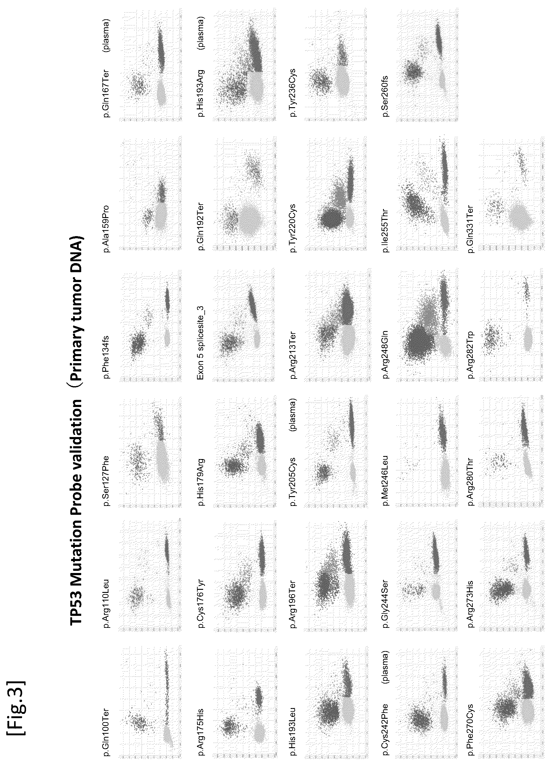 Patent US12492433 Figure 3 – Probe/primer library for diagnosis of cancer