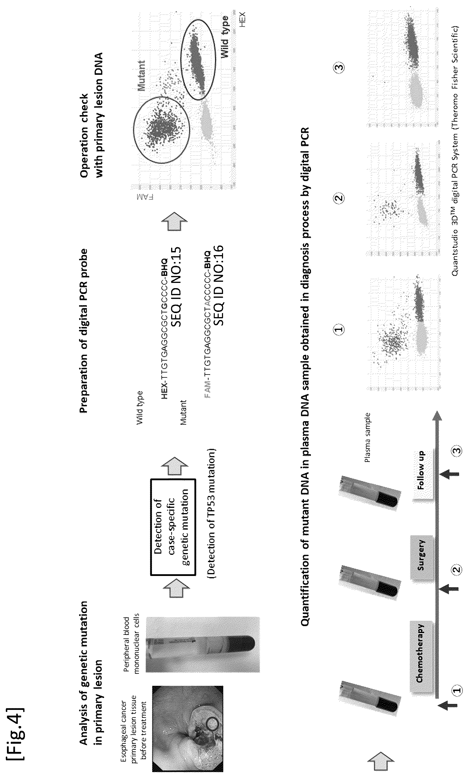 Patent US12492433 Figure 4 – Probe/primer library for diagnosis of cancer