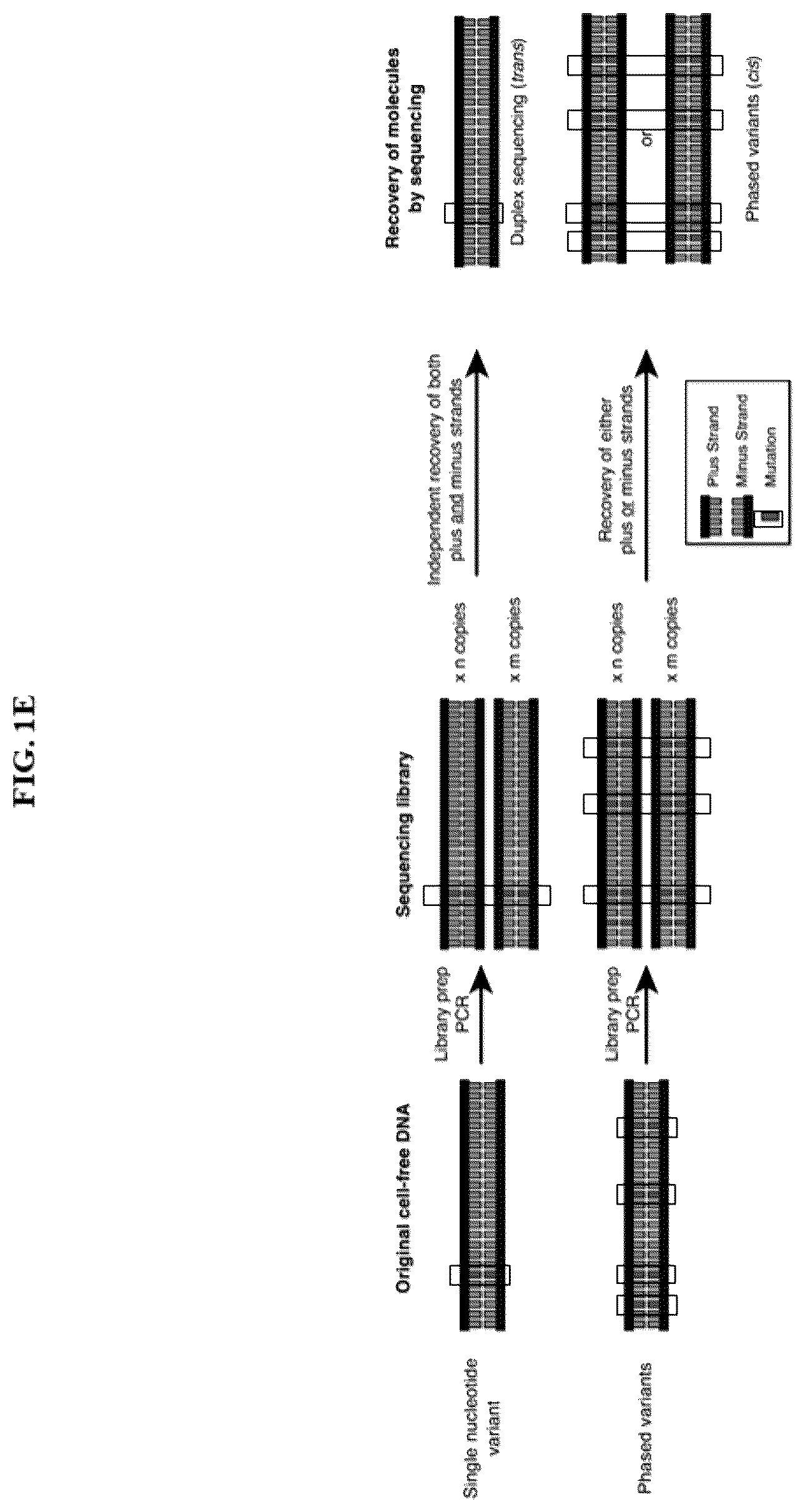 Patent US12492434 Figure 3 – Methods and systems for analyzing nucleic acid molecules