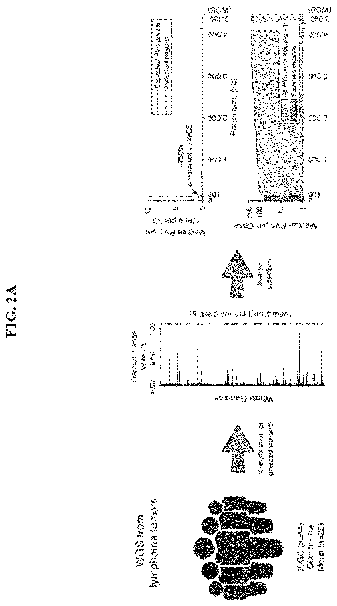Patent US12492434 Figure 4 – Methods and systems for analyzing nucleic acid molecules