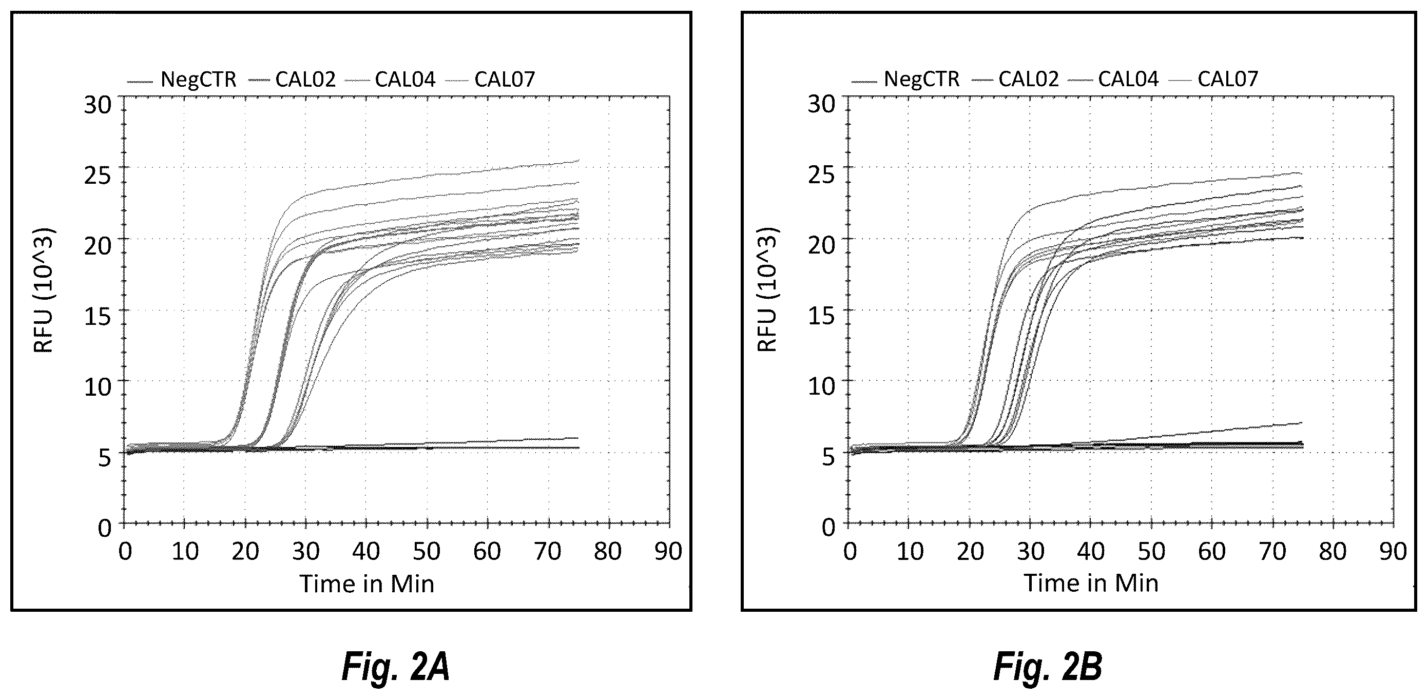 Patent US12492437 Figure 2 – Compositions and methods for detecting or quantifying hepatitis C virus