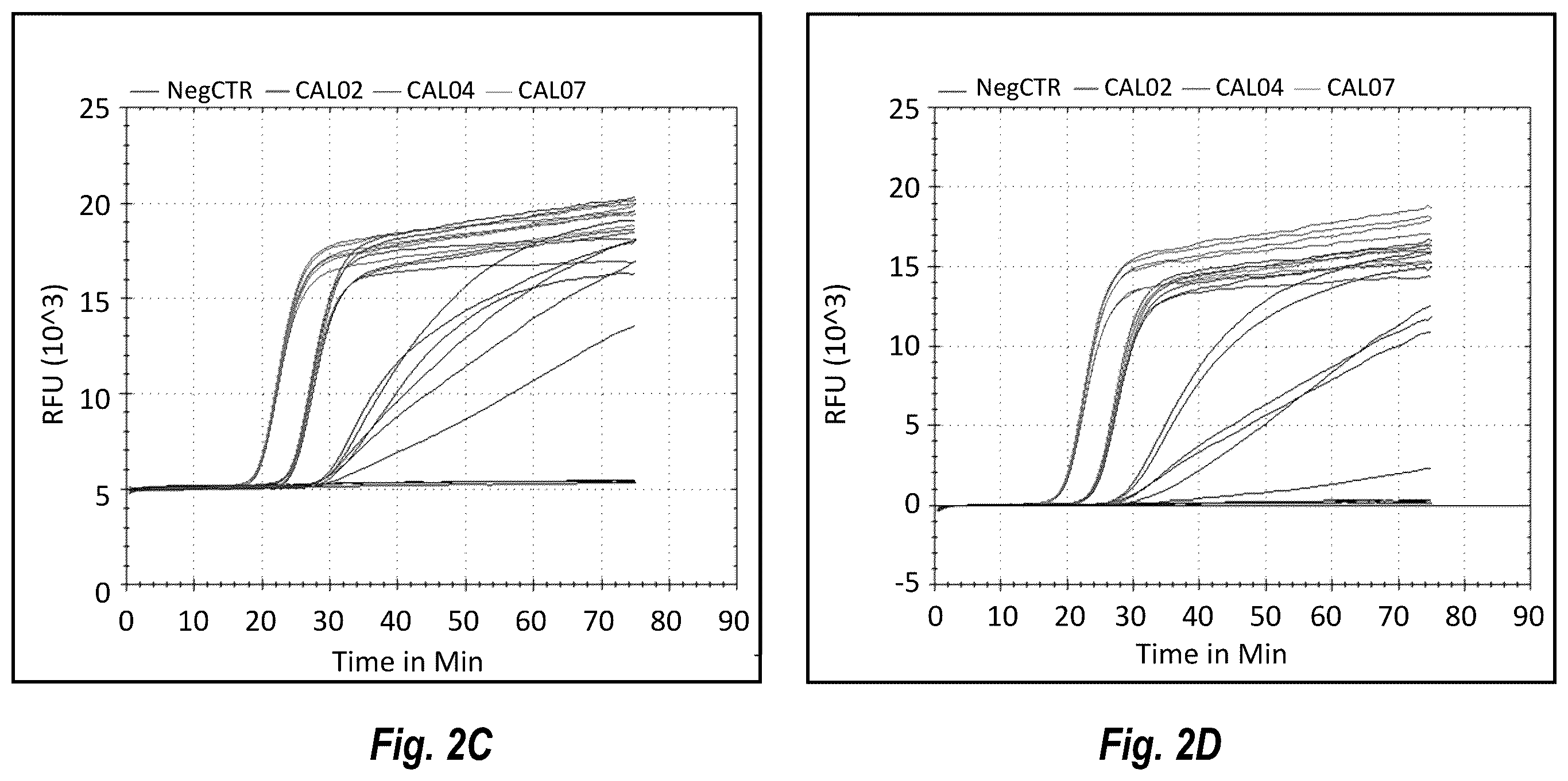 Patent US12492437 Figure 3 – Compositions and methods for detecting or quantifying hepatitis C virus
