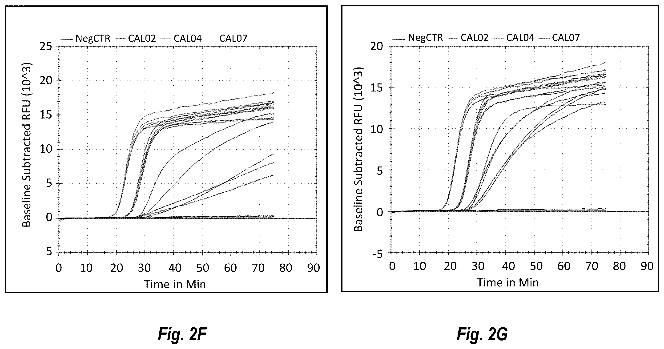 Patent US12492437 Figure 5 – Compositions and methods for detecting or quantifying hepatitis C virus