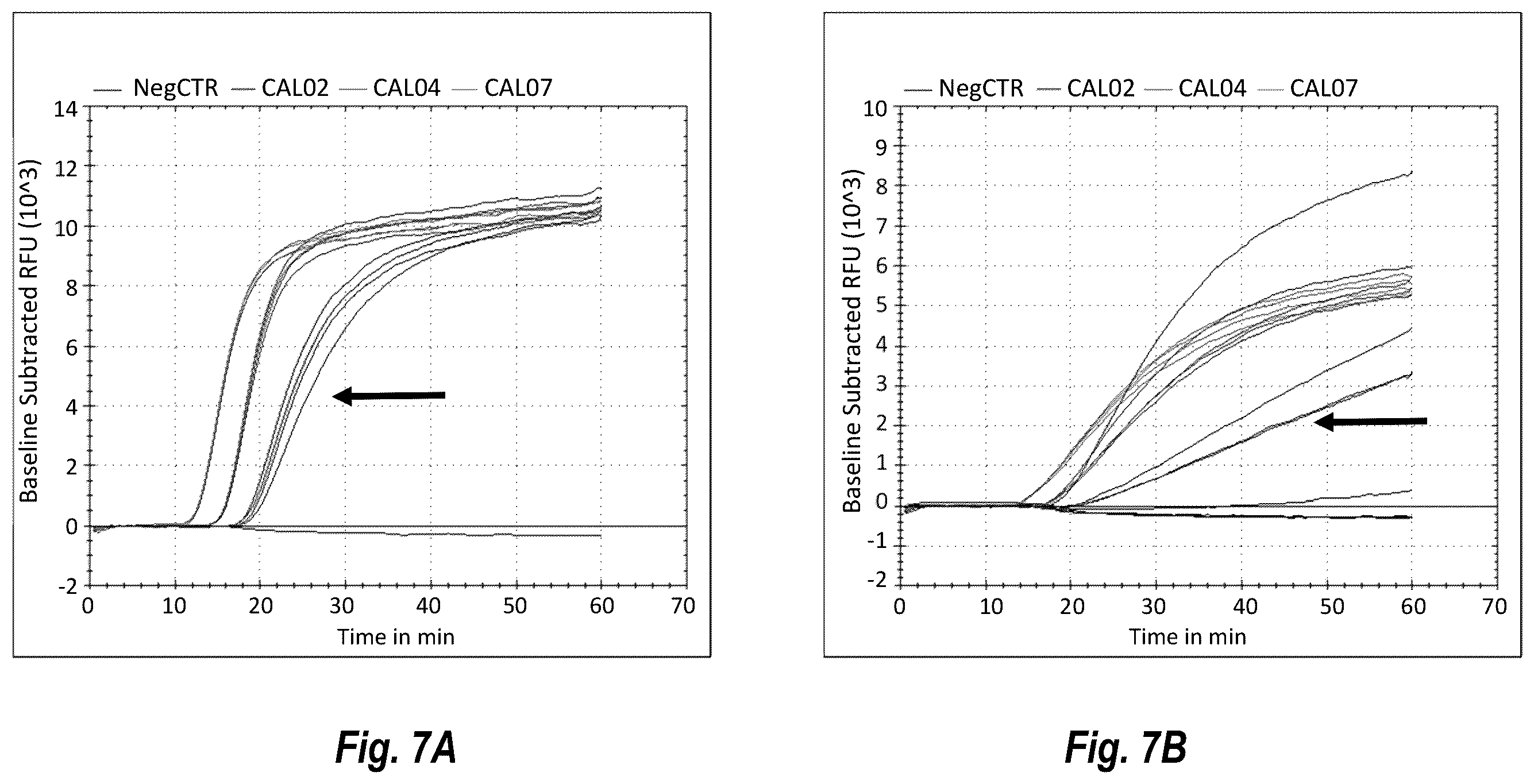 Patent US12492437 Figure 11 – Compositions and methods for detecting or quantifying hepatitis C virus