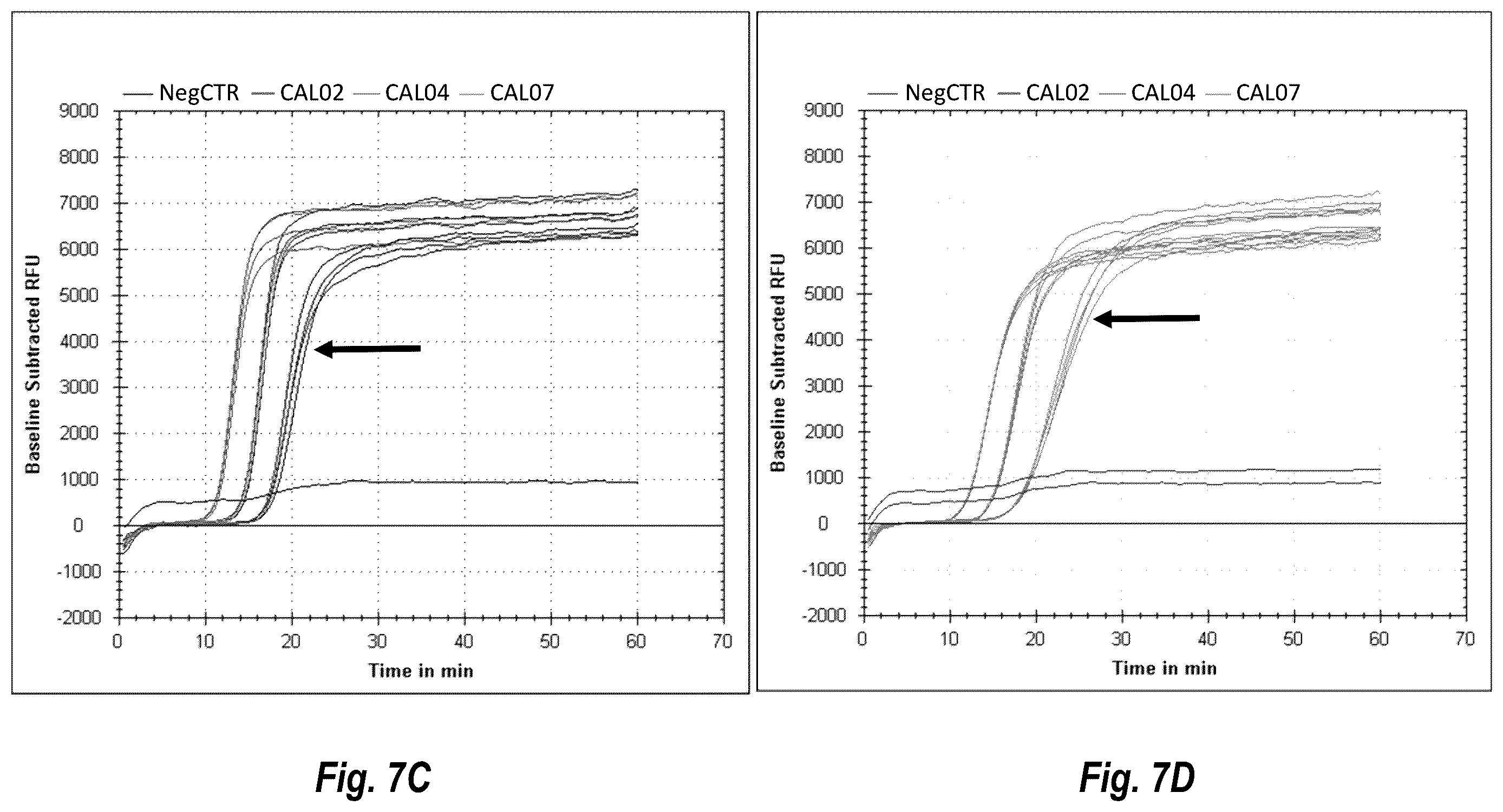 Patent US12492437 Figure 12 – Compositions and methods for detecting or quantifying hepatitis C virus