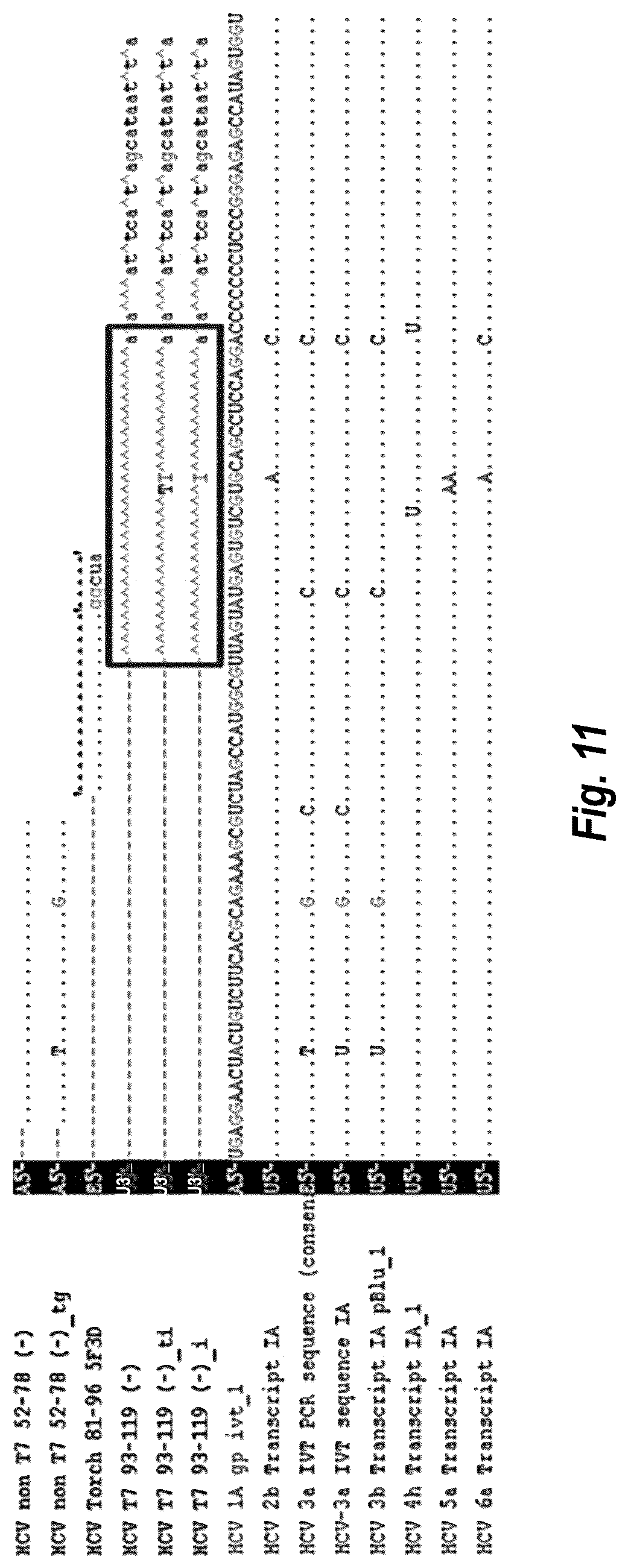 Patent US12492437 Figure 16 – Compositions and methods for detecting or quantifying hepatitis C virus