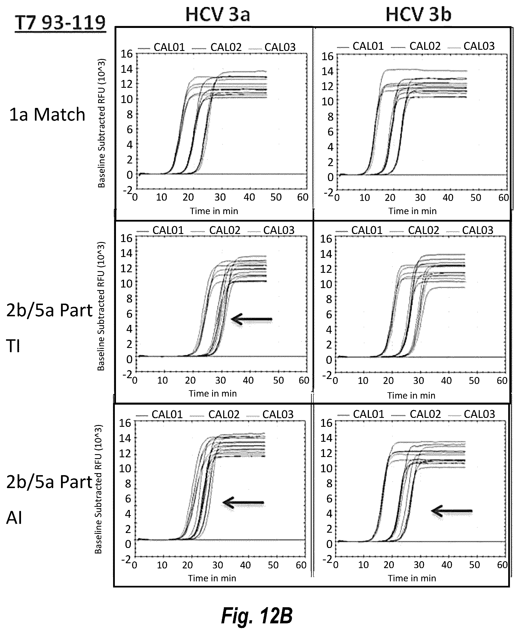 Patent US12492437 Figure 18 – Compositions and methods for detecting or quantifying hepatitis C virus