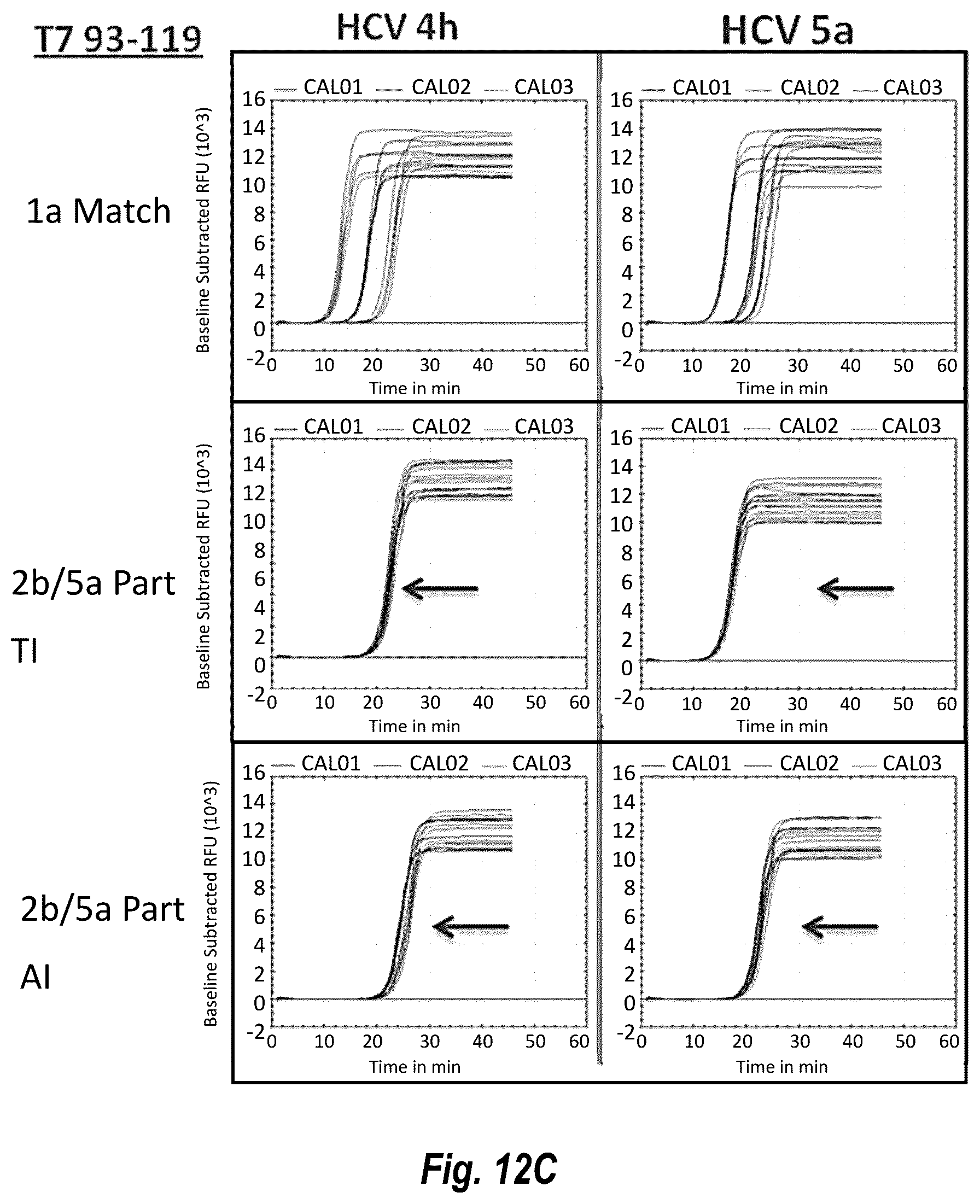 Patent US12492437 Figure 19 – Compositions and methods for detecting or quantifying hepatitis C virus