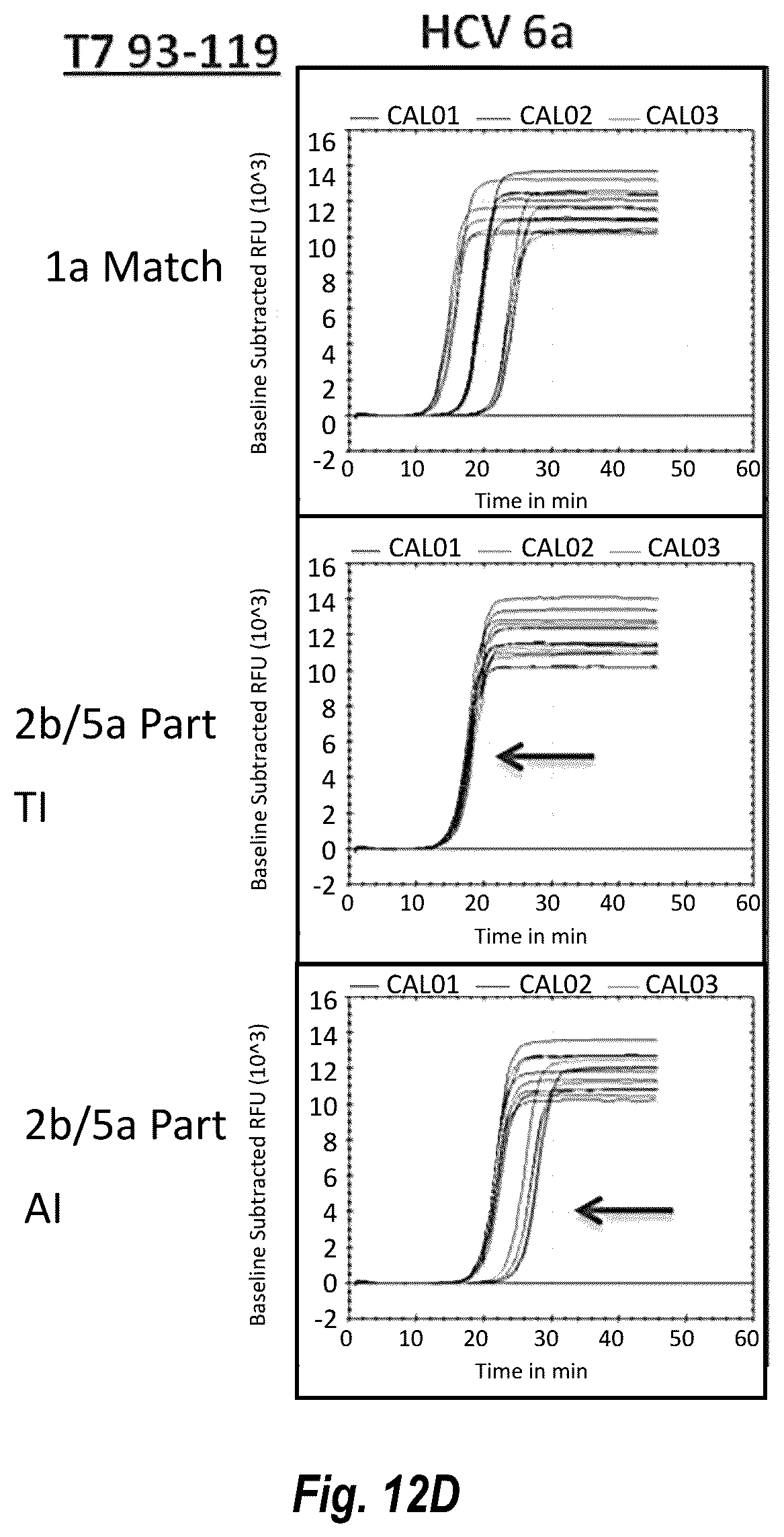 Patent US12492437 Figure 20 – Compositions and methods for detecting or quantifying hepatitis C virus