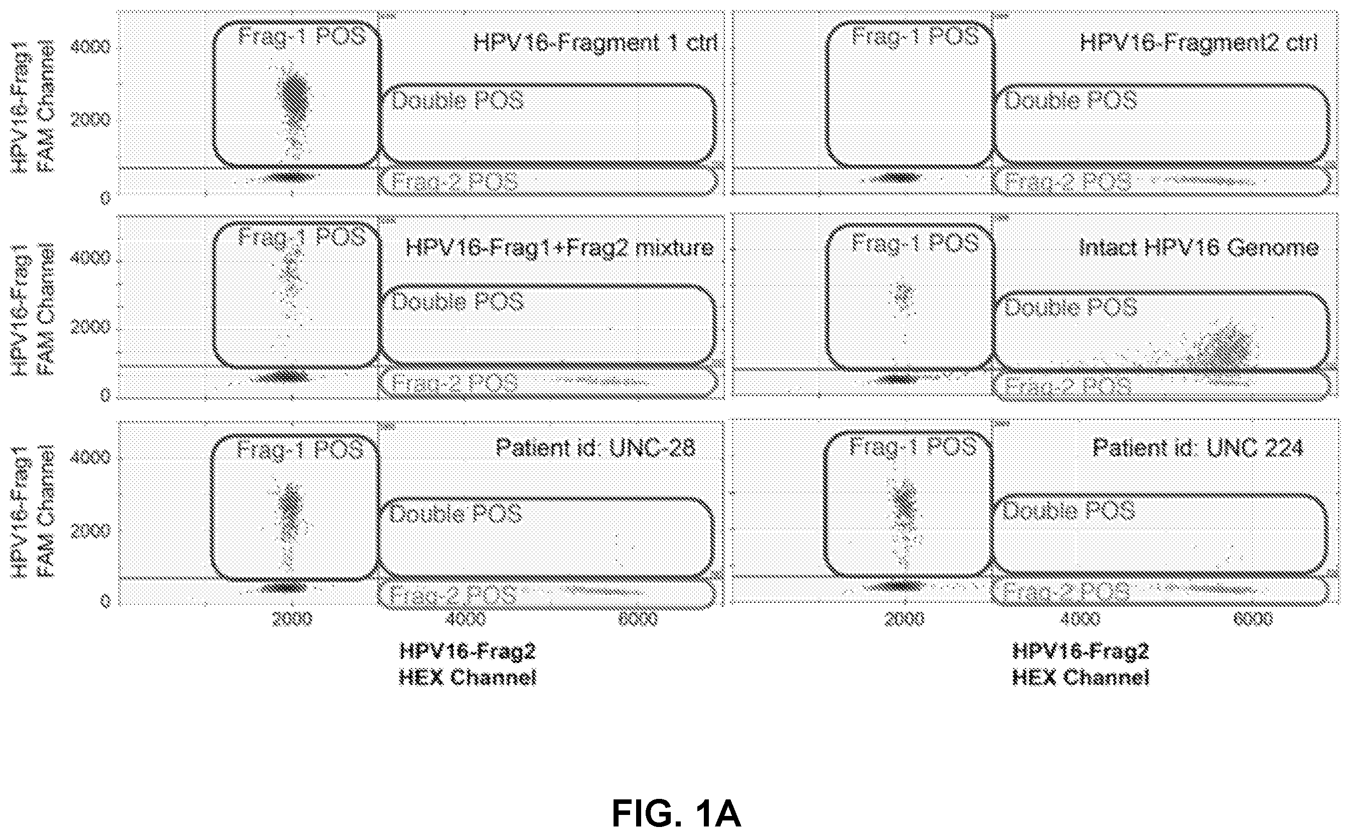 Patent US12492438 Figure 1 – Method for quantifying DNA fragments in a sample by size
