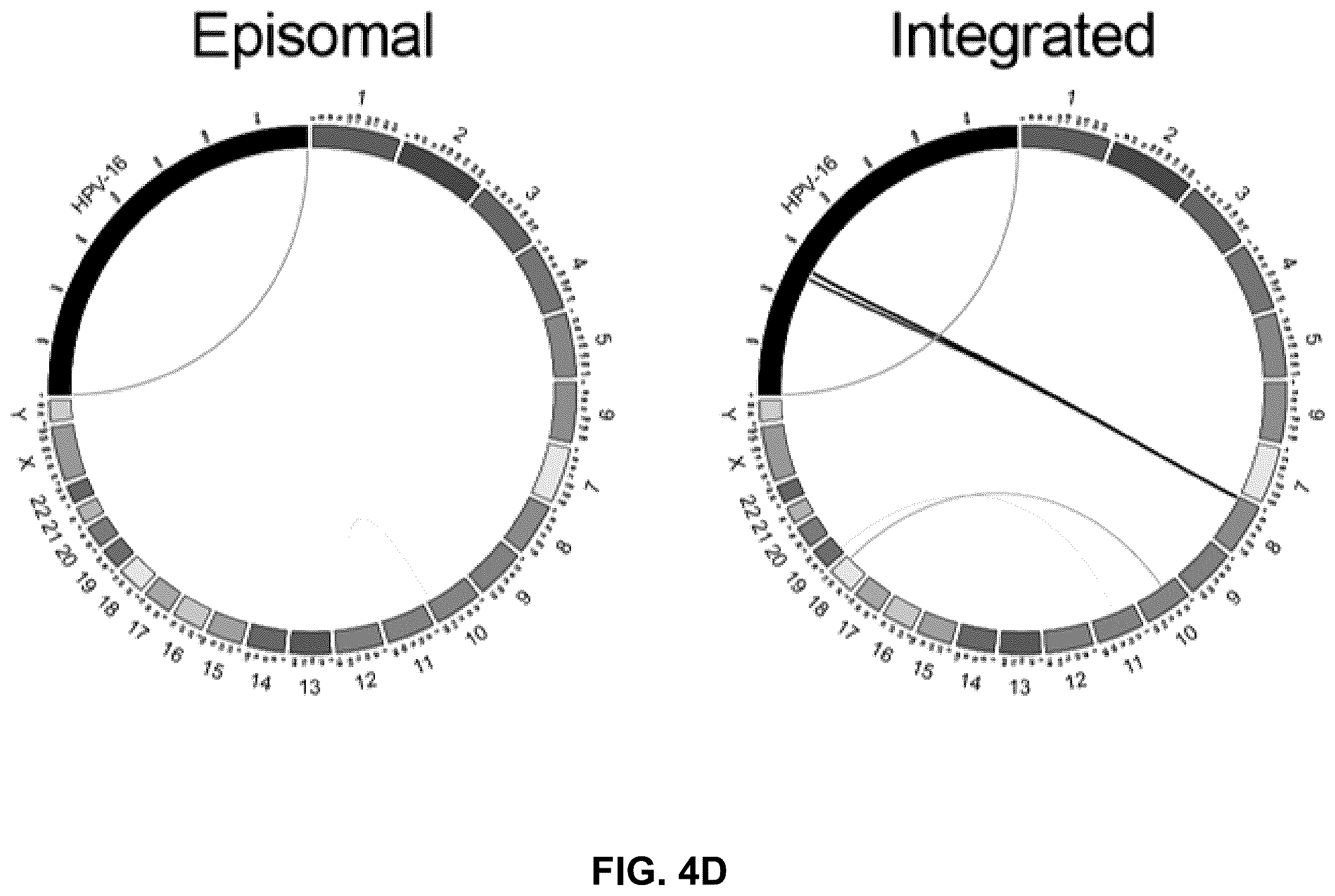 Patent US12492438 Figure 9 – Method for quantifying DNA fragments in a sample by size