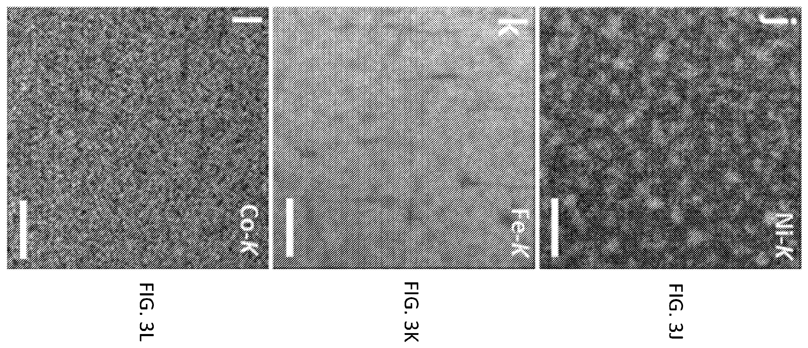 Patent US12492440 Figure 6 – Ultra-high strength steel and forming methods and applications of same