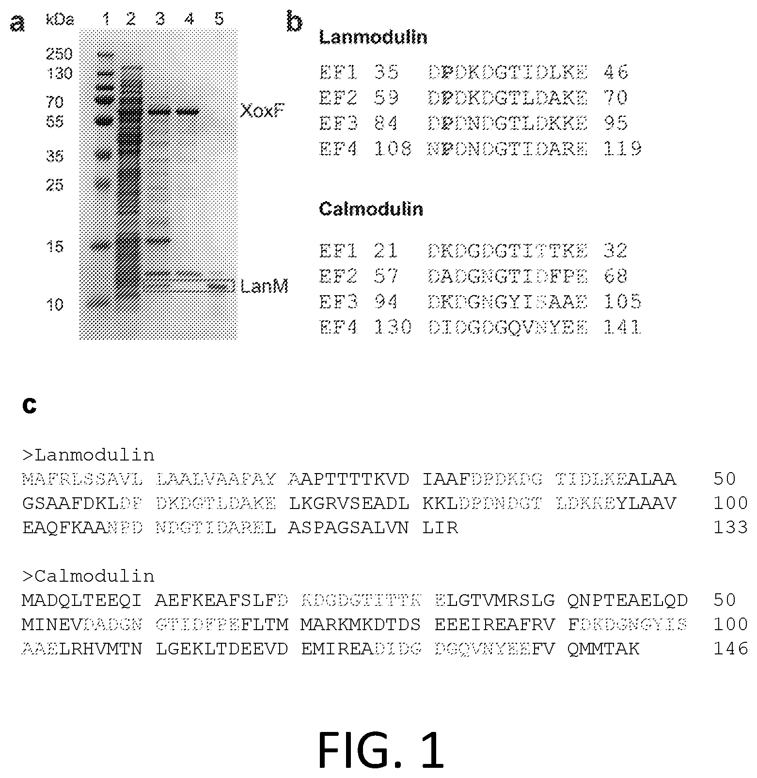 Patent US12492451 Figure 1 – Metal-binding protein and use thereof