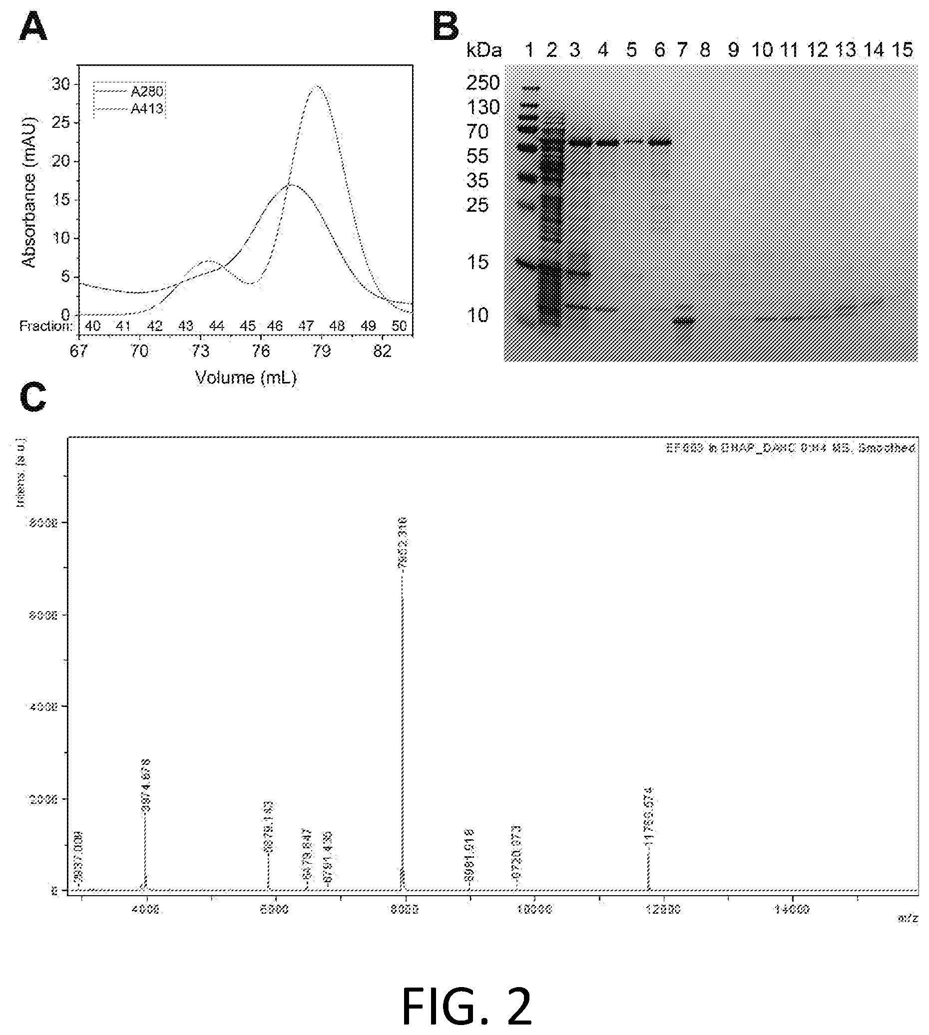 Patent US12492451 Figure 2 – Metal-binding protein and use thereof