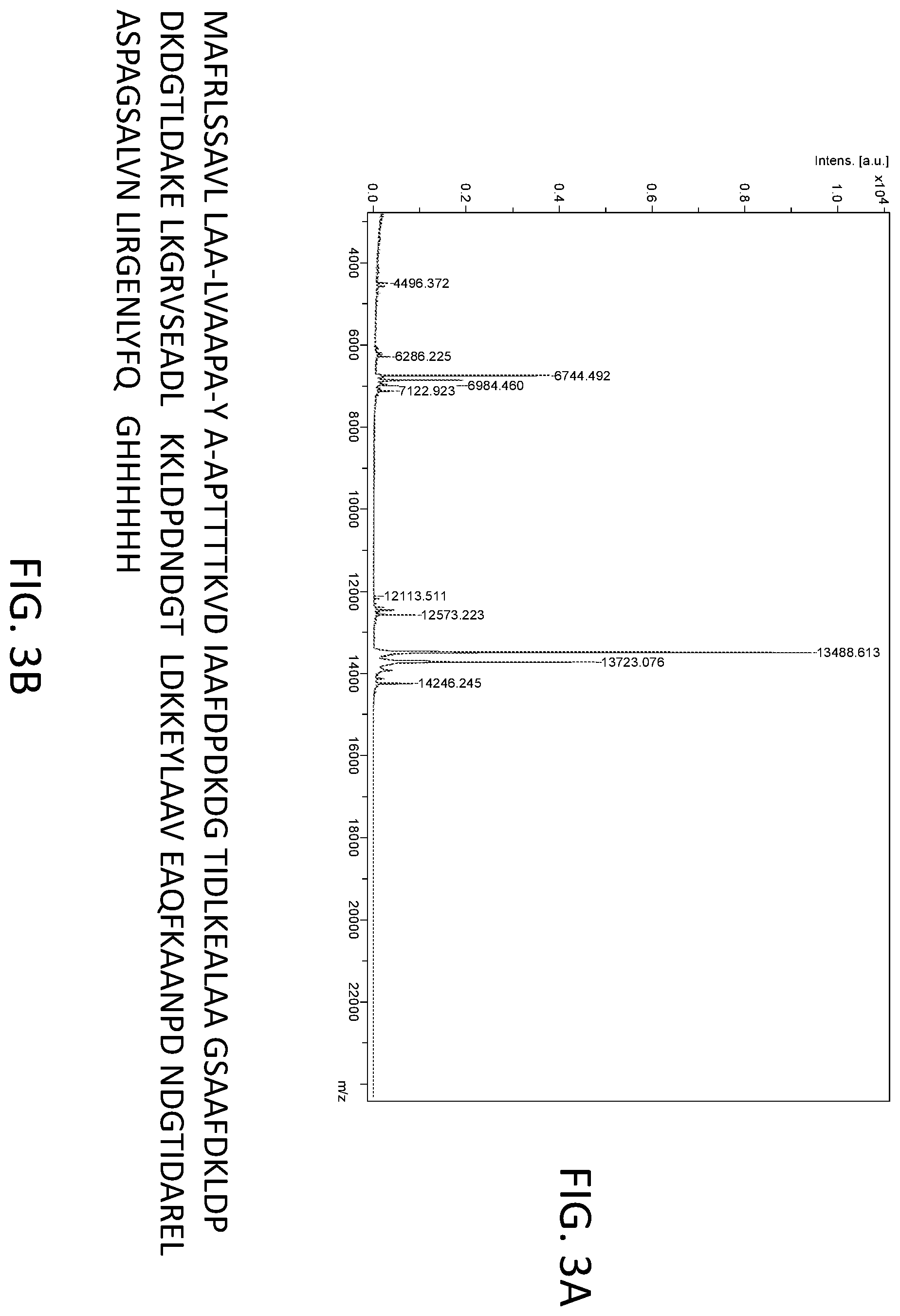 Patent US12492451 Figure 3 – Metal-binding protein and use thereof