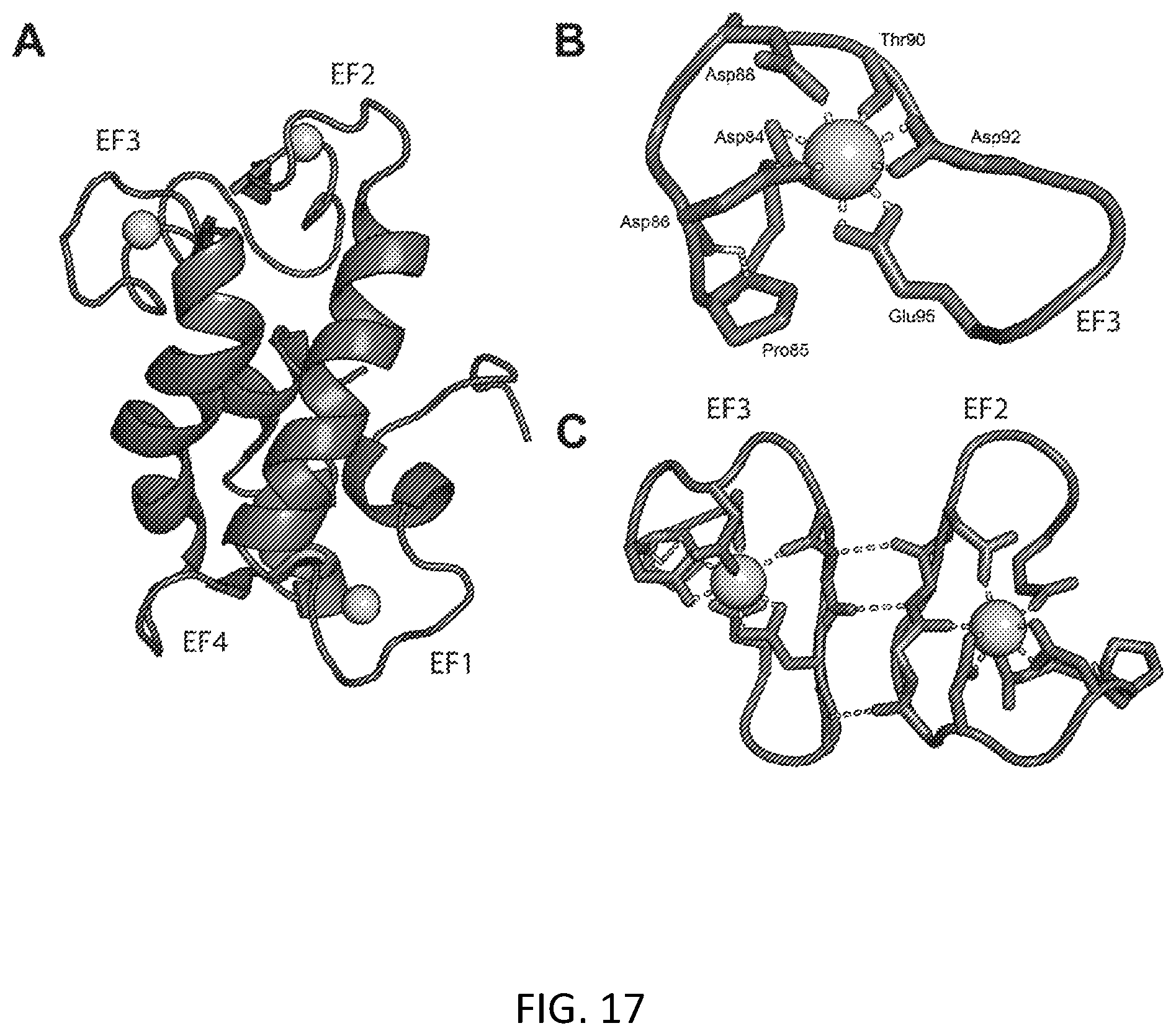 Patent US12492451 Figure 17 – Metal-binding protein and use thereof