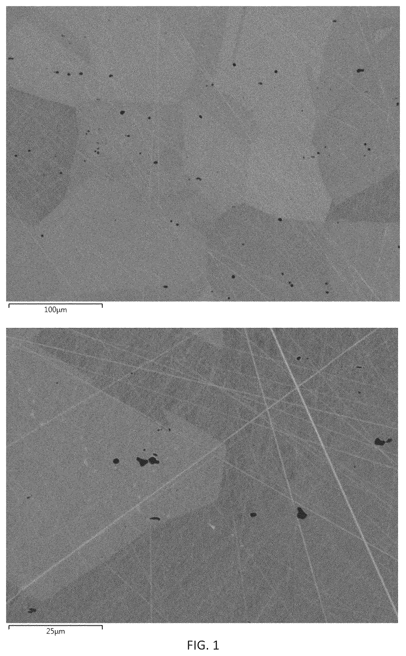 Patent US12492452 — Nickel-base alloys — Figure 1