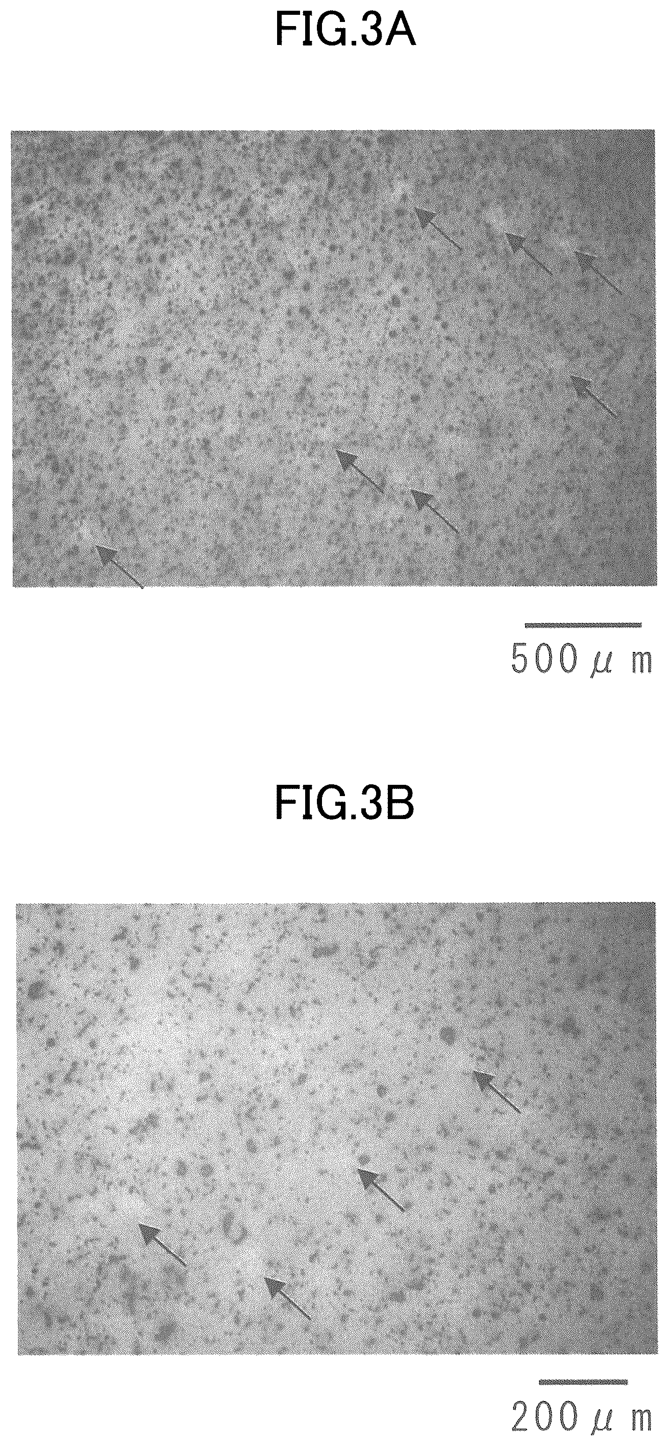 Patent US12492455 Figure 3 – Sintered member, and method for manufacturing sintered member