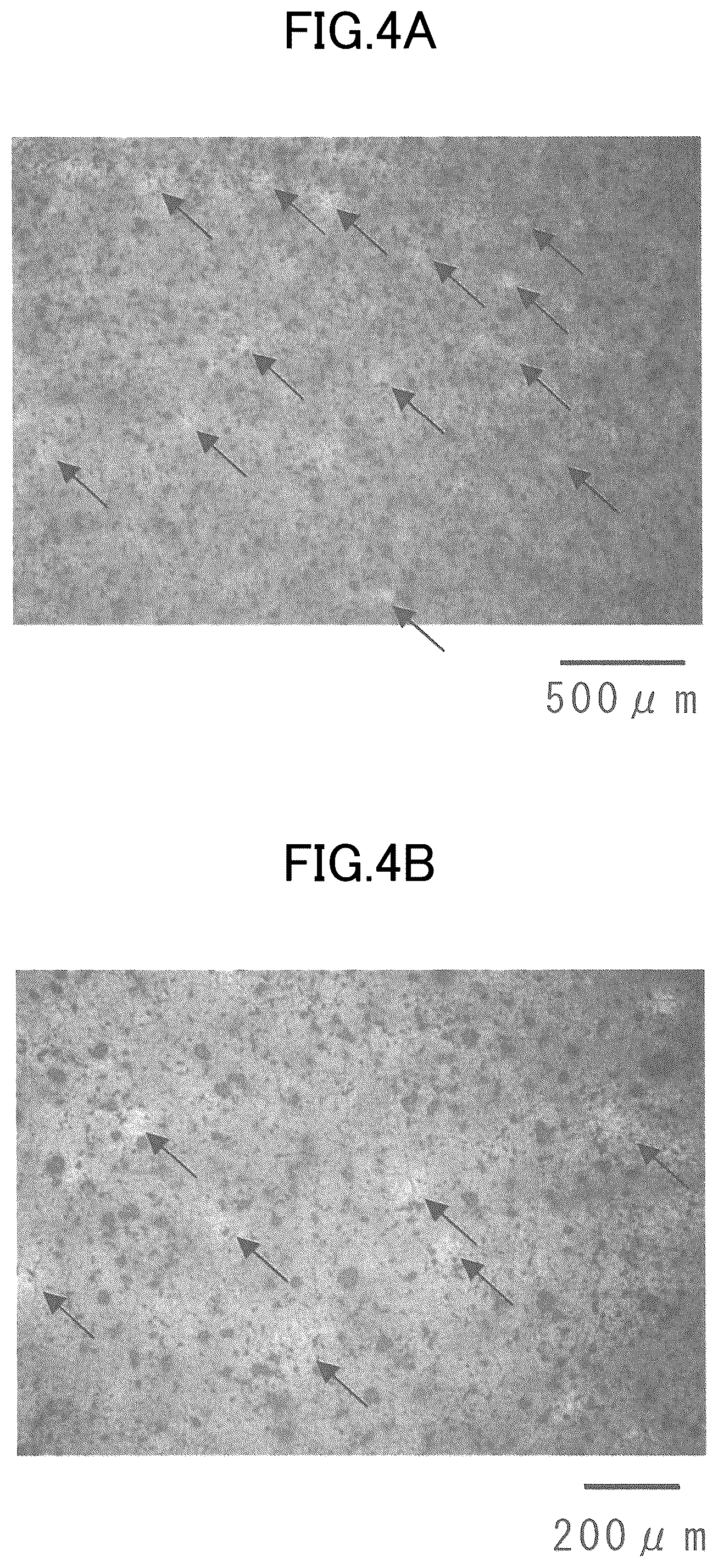 Patent US12492455 Figure 4 – Sintered member, and method for manufacturing sintered member