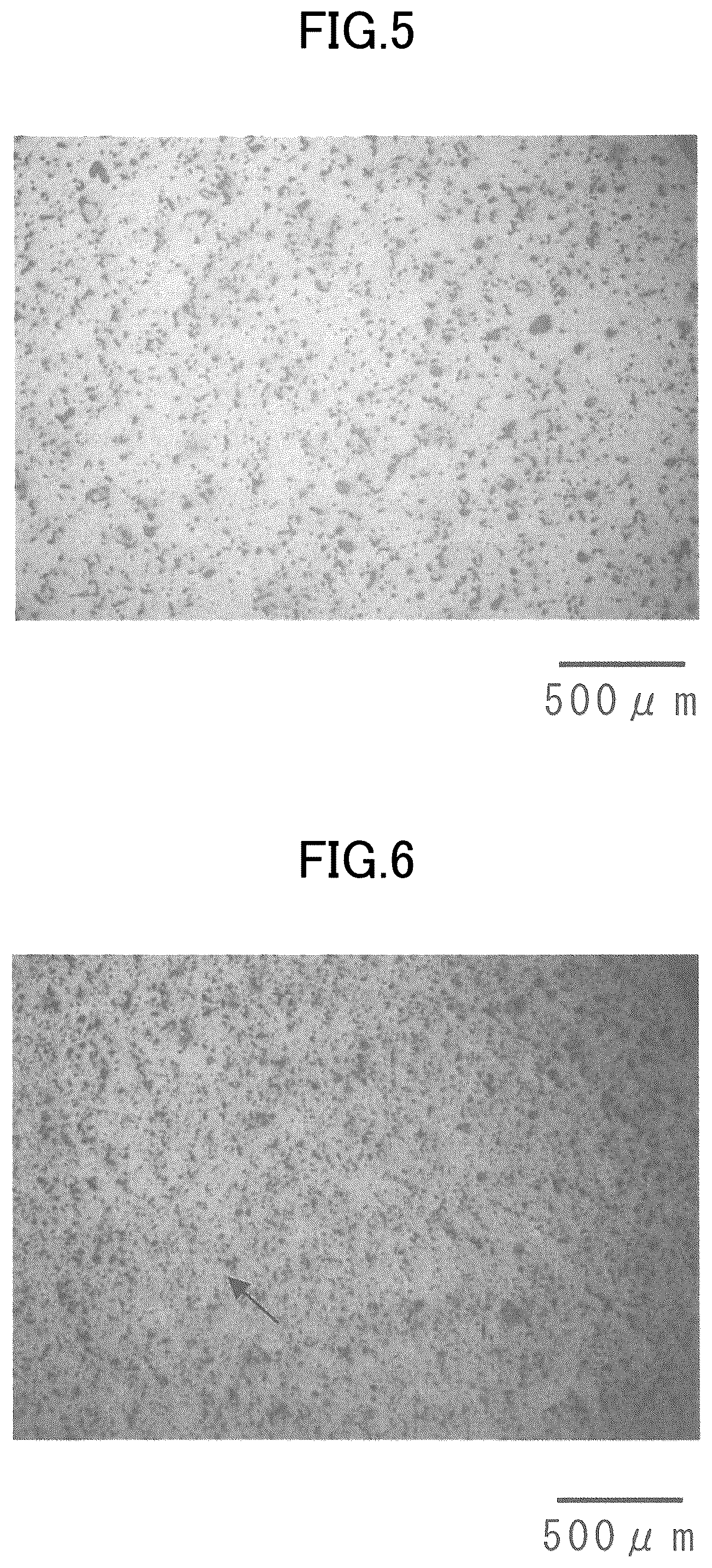 Patent US12492455 Figure 5 – Sintered member, and method for manufacturing sintered member