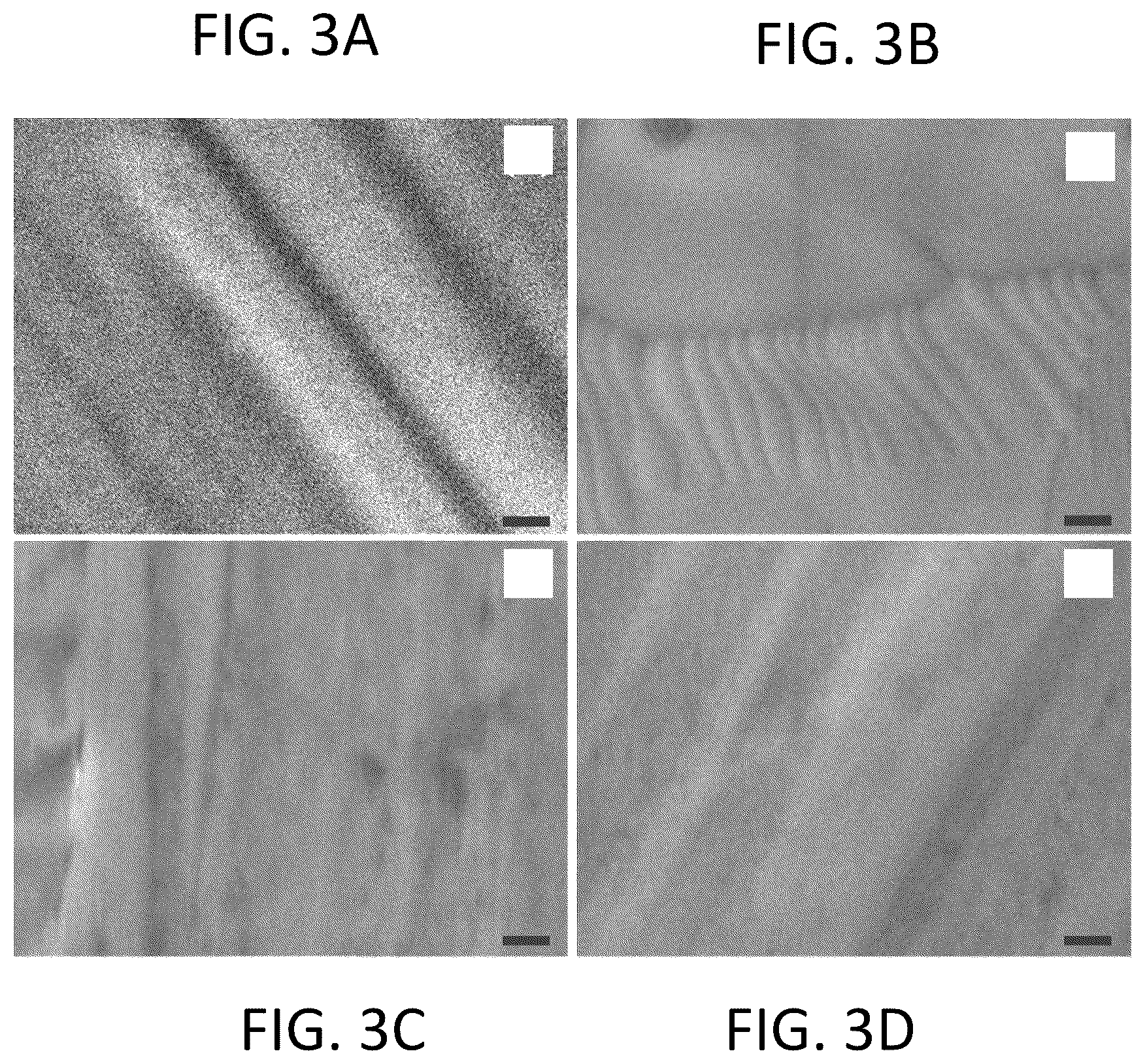 Patent US12492466 Figure 3 – Protective ceramic coatings for metal substrates