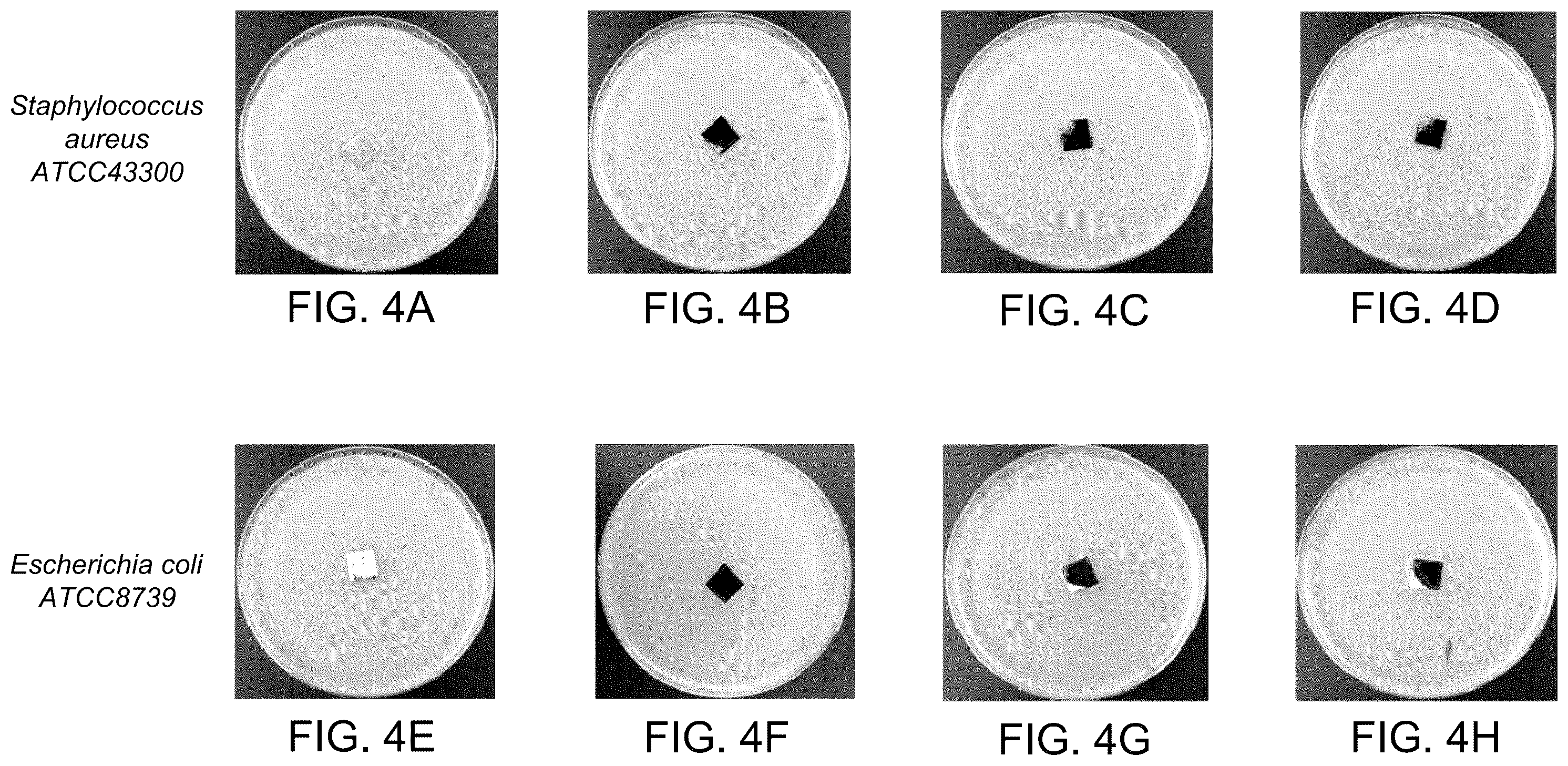 Patent US12492484 Figure 7 – Method of coating a metallic substrate with a polymeric bioactive coating