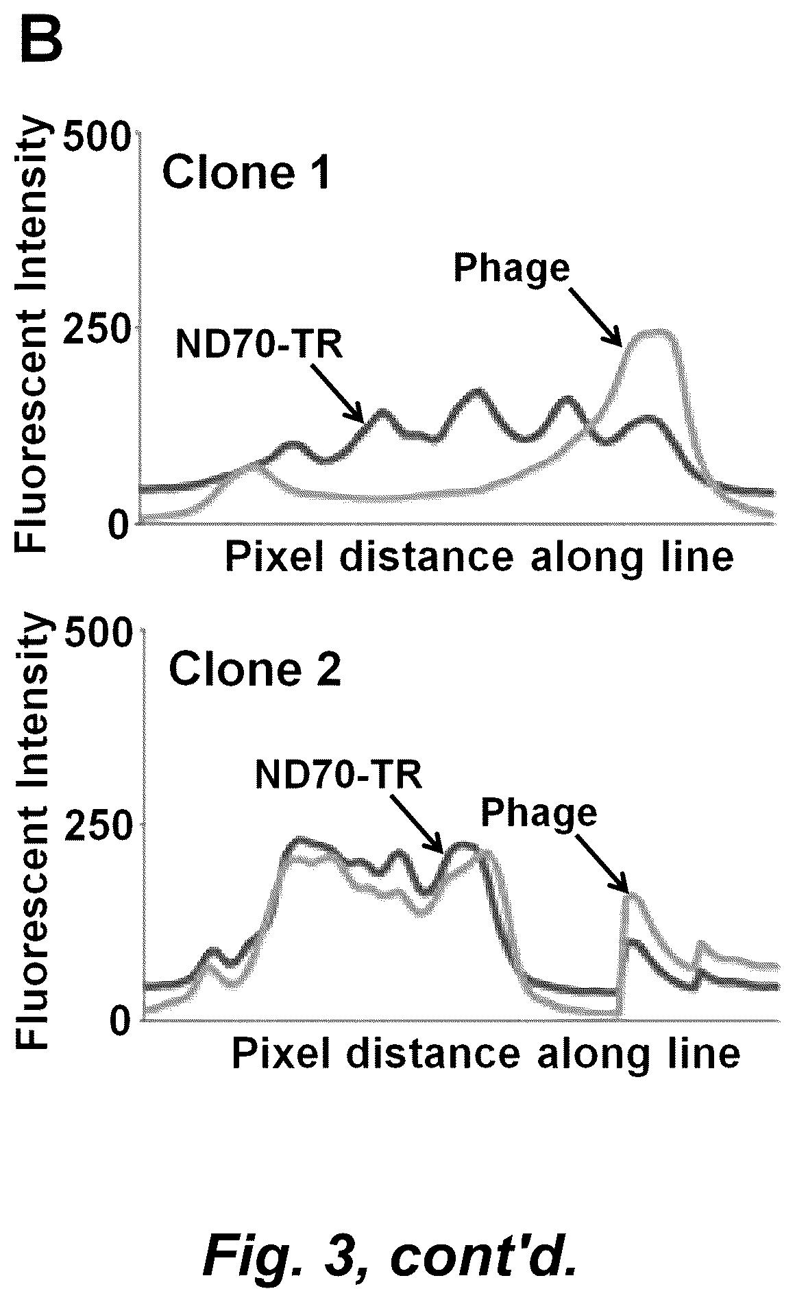 Patent US12492490 Figure 5 – Tumor selective macropinocytosis-dependent rapidly internalizing antibodies