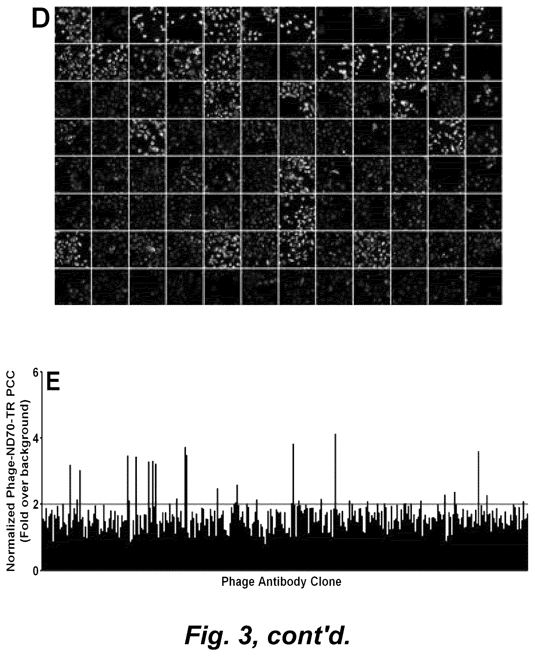 Patent US12492490 Figure 6 – Tumor selective macropinocytosis-dependent rapidly internalizing antibodies