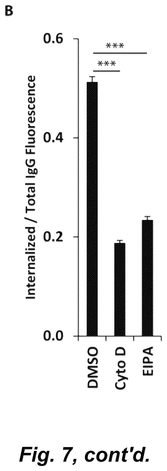 Patent US12492490 Figure 16 – Tumor selective macropinocytosis-dependent rapidly internalizing antibodies