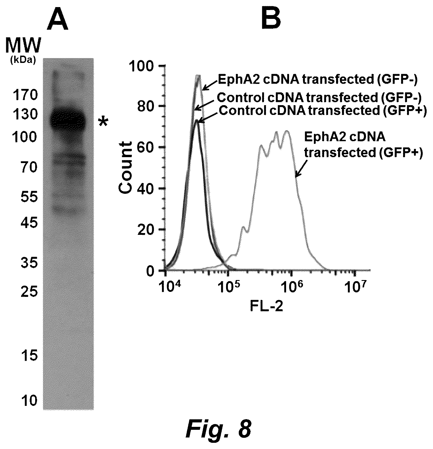 Patent US12492490 Figure 17 – Tumor selective macropinocytosis-dependent rapidly internalizing antibodies