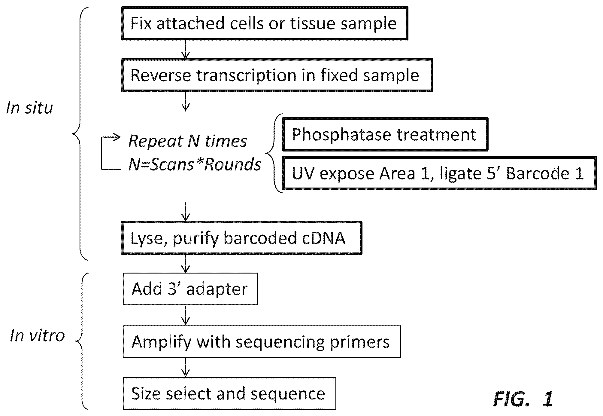 Patent US12492491 — Combinatorial photo-controlled spatial sequencing and labeling — Figure 1