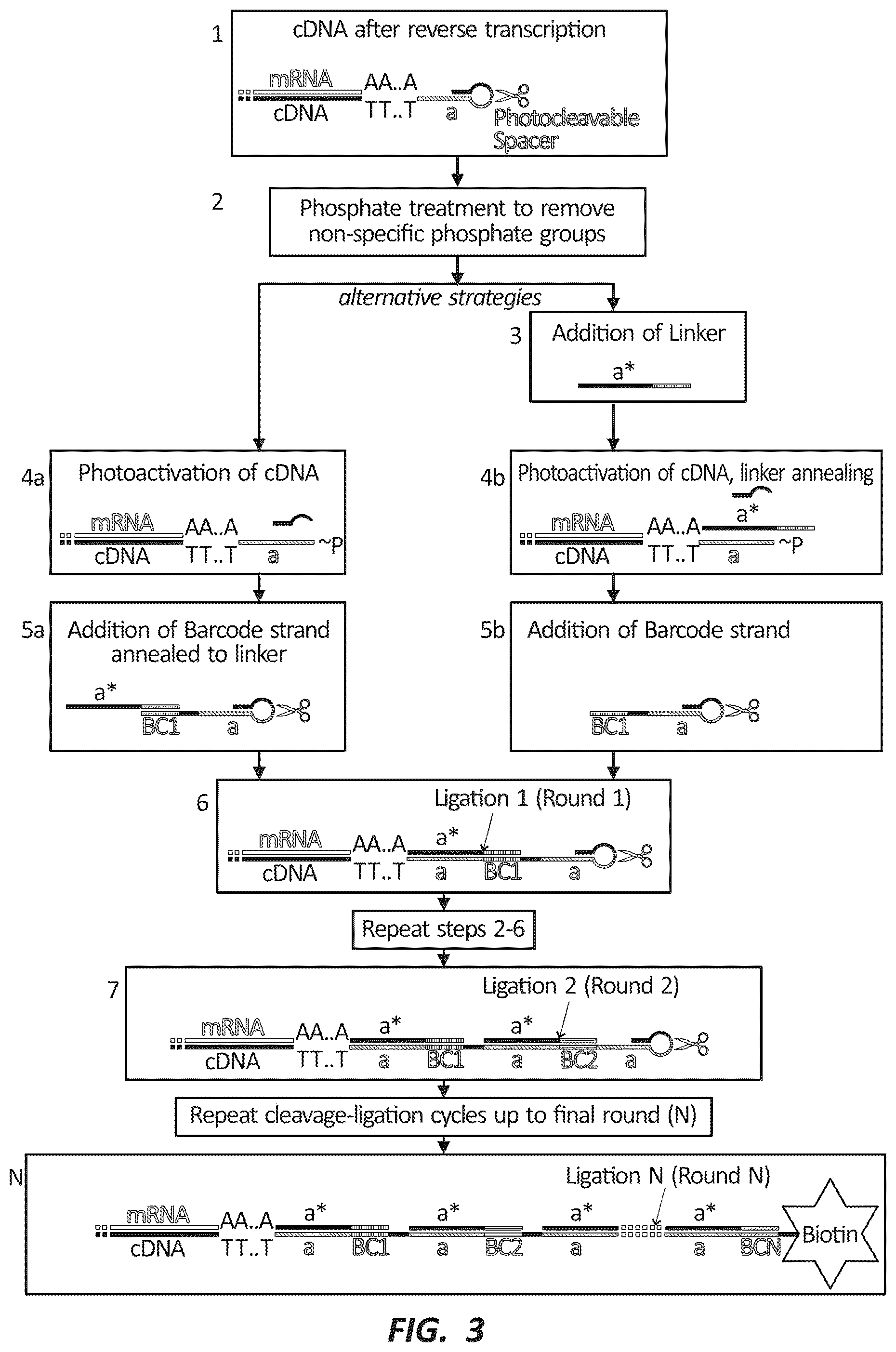 Patent US12492491 Figure 3 – Combinatorial photo-controlled spatial sequencing and labeling