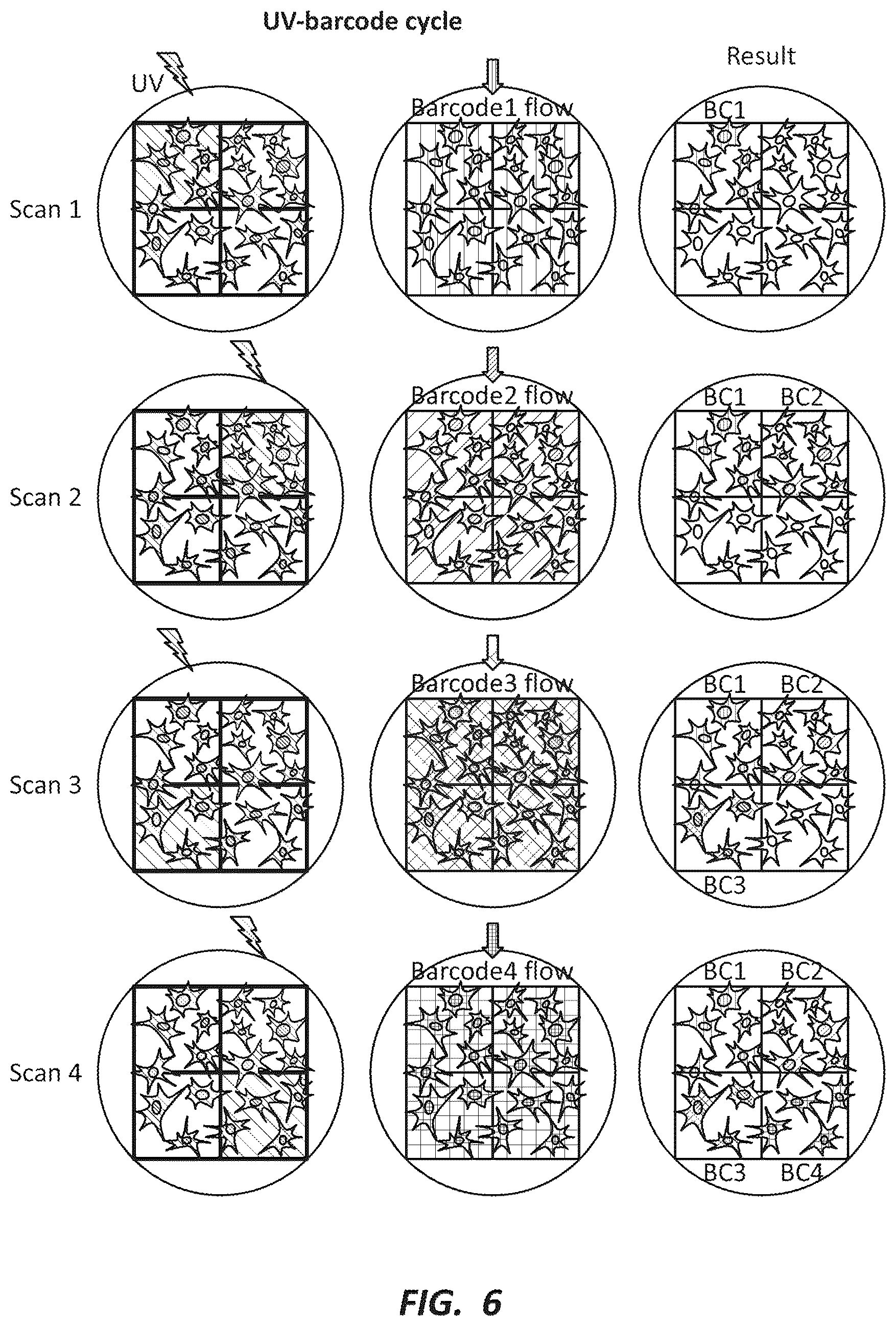 Patent US12492491 Figure 6 – Combinatorial photo-controlled spatial sequencing and labeling