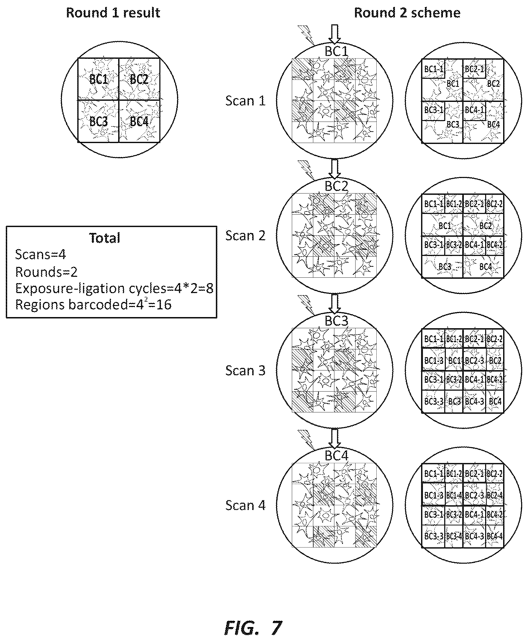 Patent US12492491 Figure 7 – Combinatorial photo-controlled spatial sequencing and labeling