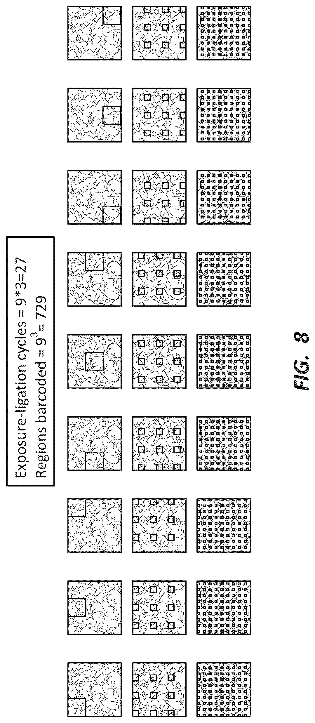 Patent US12492491 Figure 8 – Combinatorial photo-controlled spatial sequencing and labeling