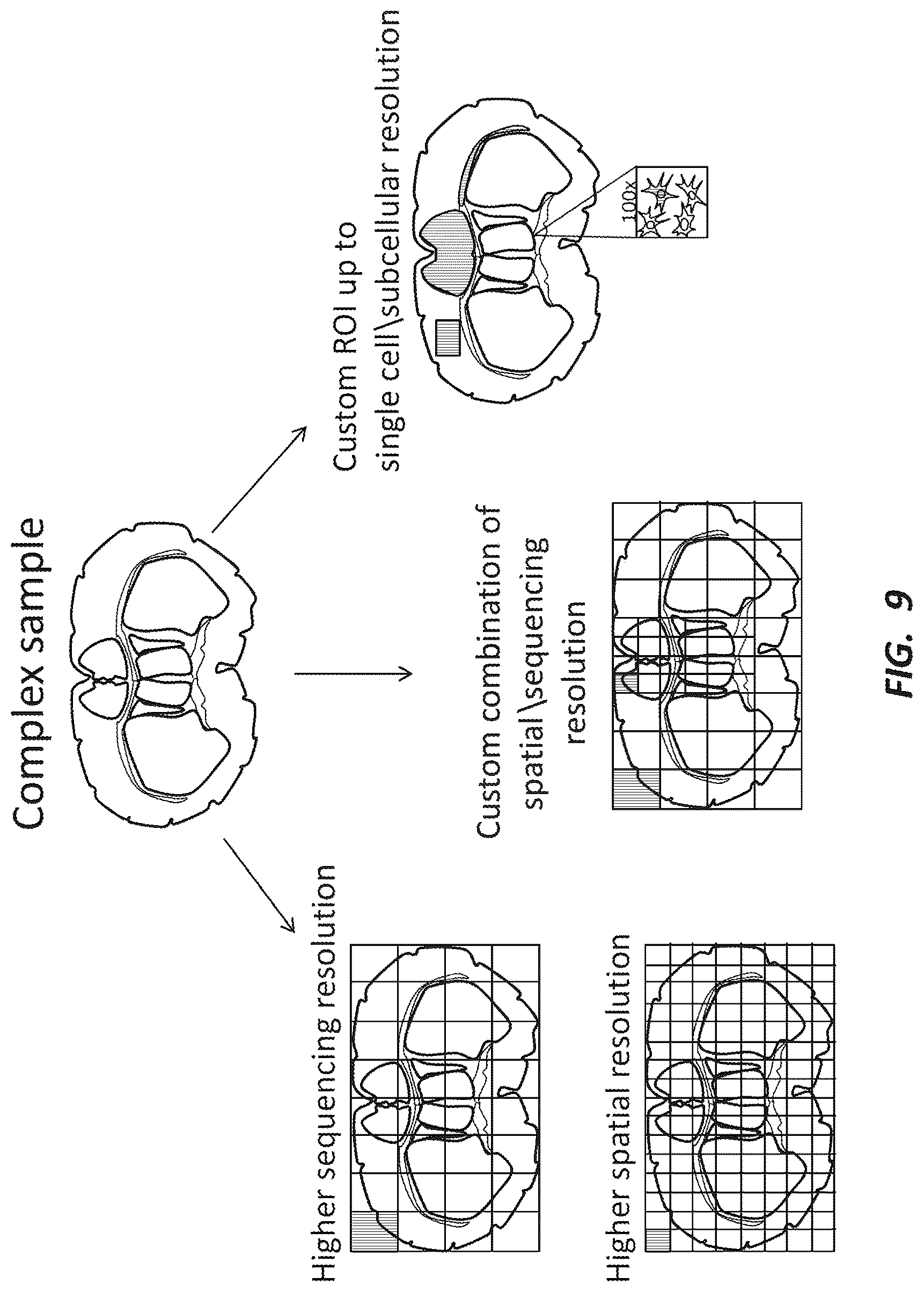 Patent US12492491 Figure 9 – Combinatorial photo-controlled spatial sequencing and labeling