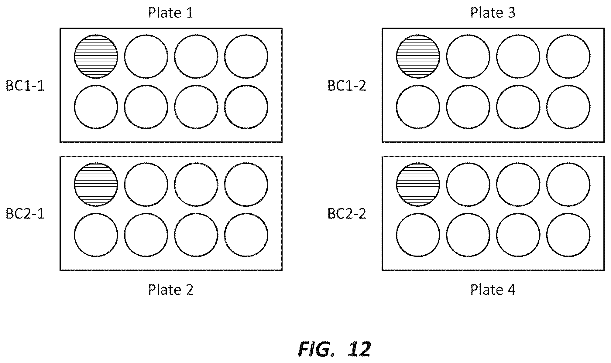 Patent US12492491 Figure 12 – Combinatorial photo-controlled spatial sequencing and labeling